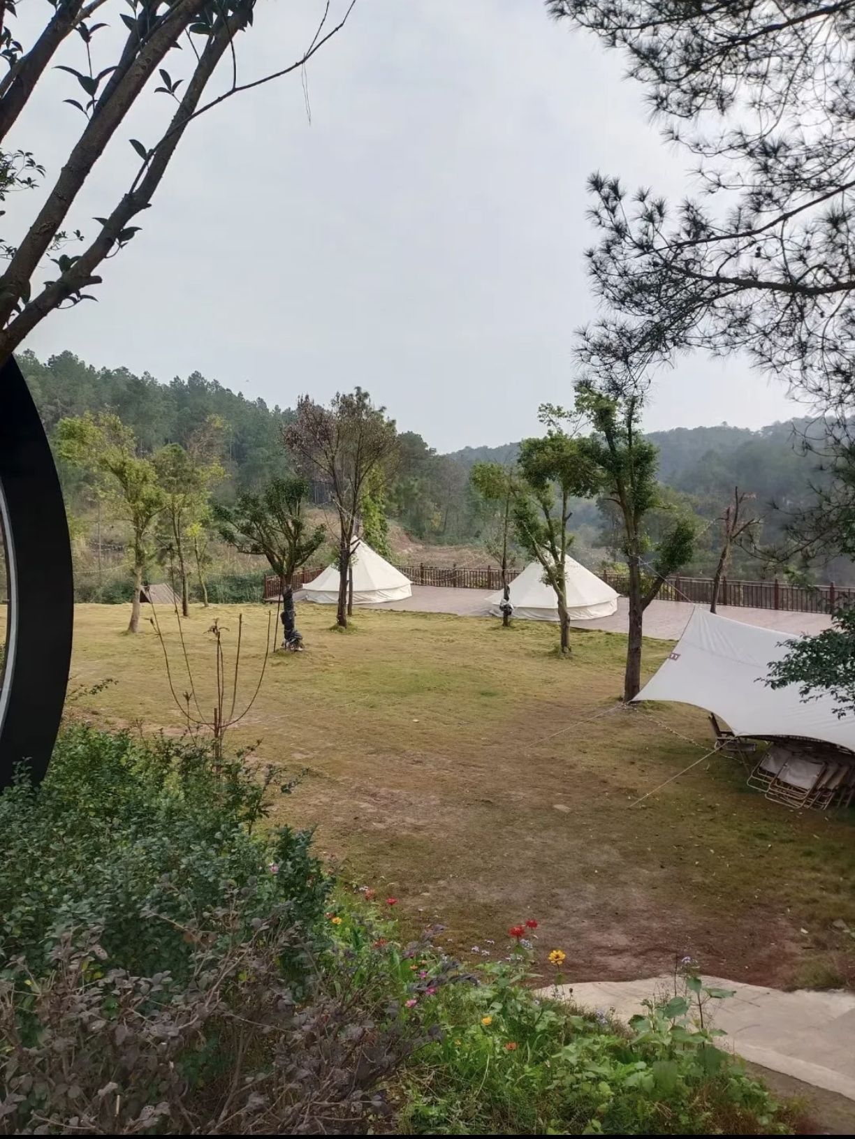 长江森林公园旅行图片 2