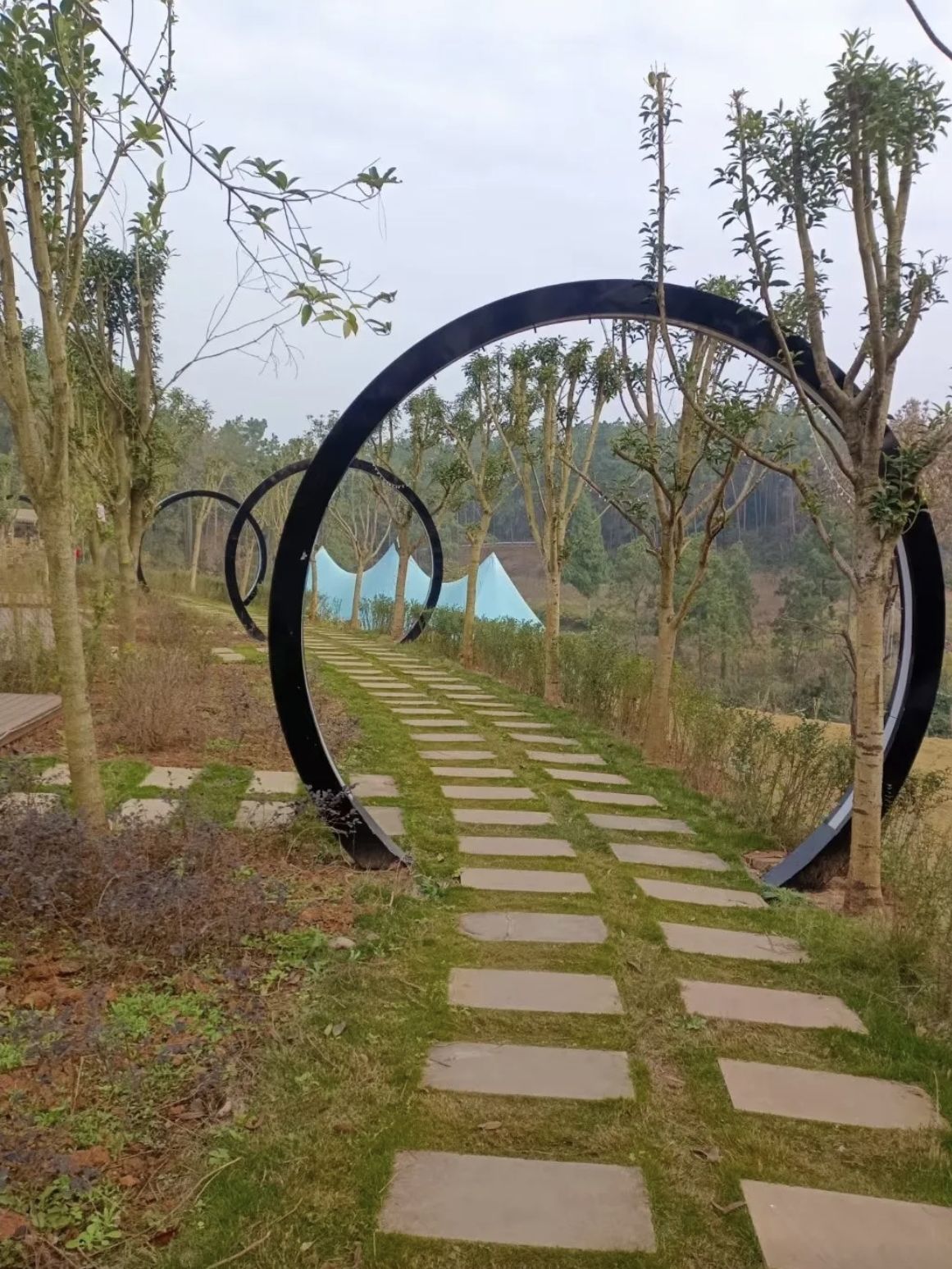 长江森林公园旅行图片 3