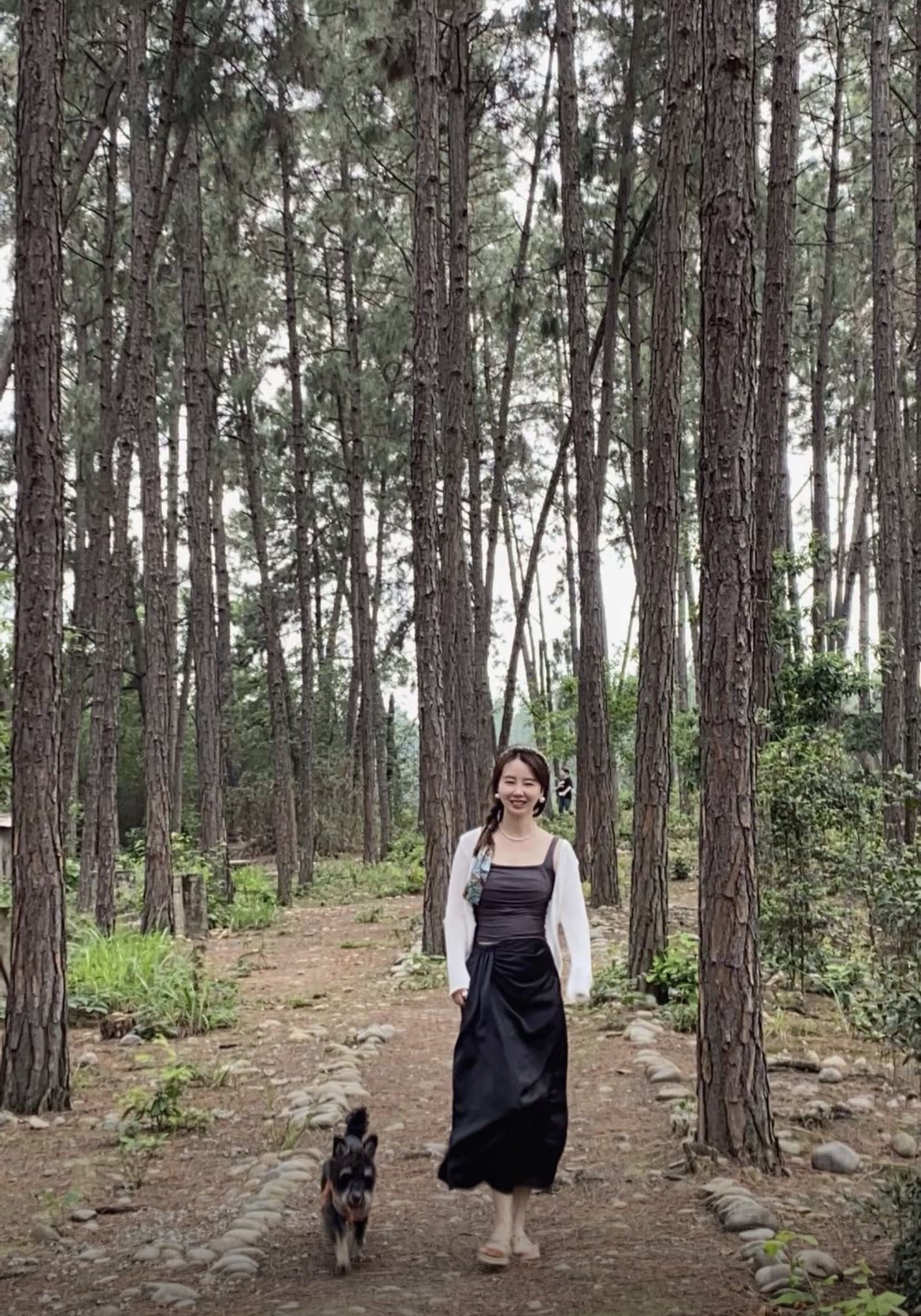 长江森林公园旅行图片 2