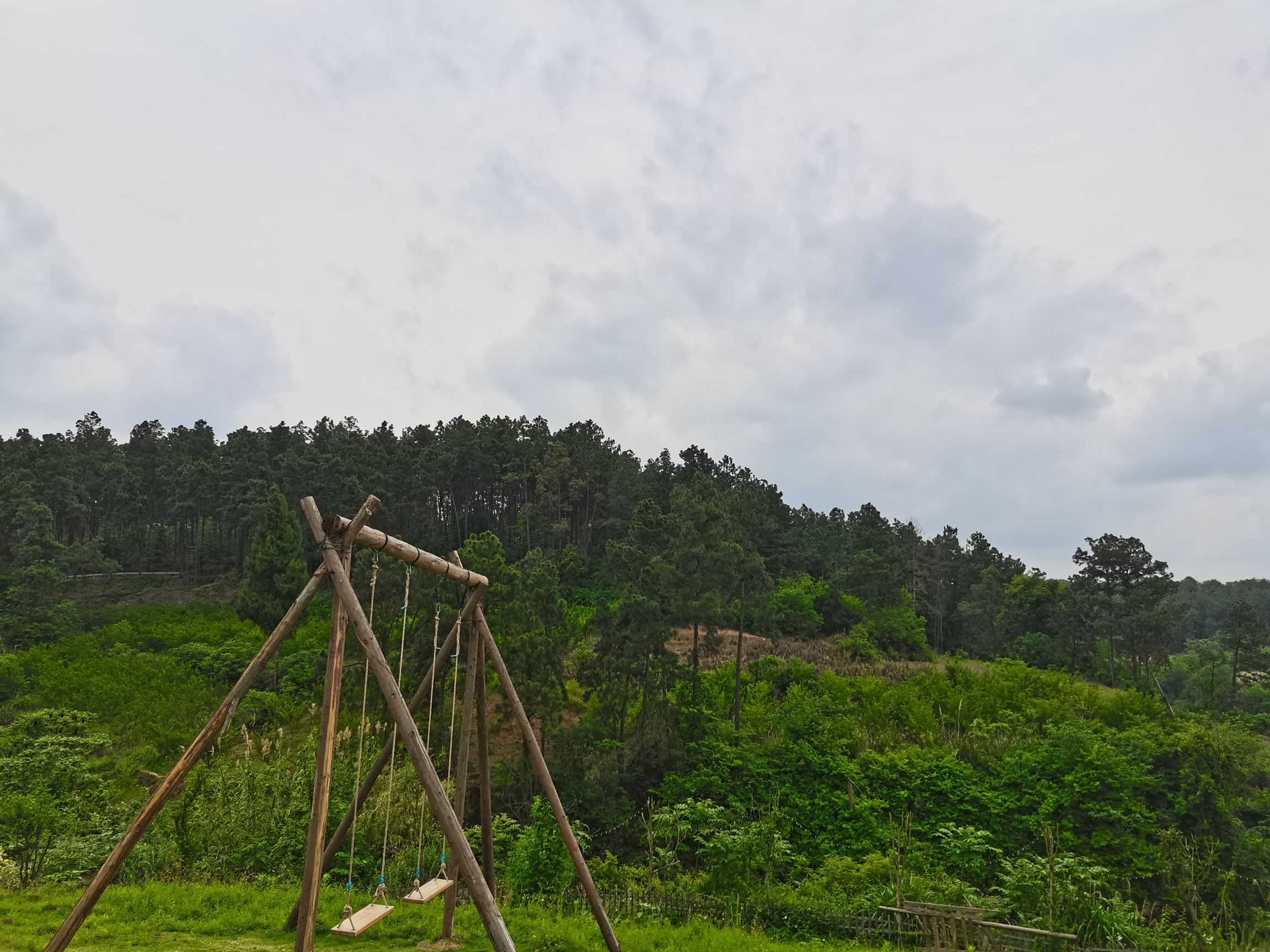 长江森林公园旅行图片 1