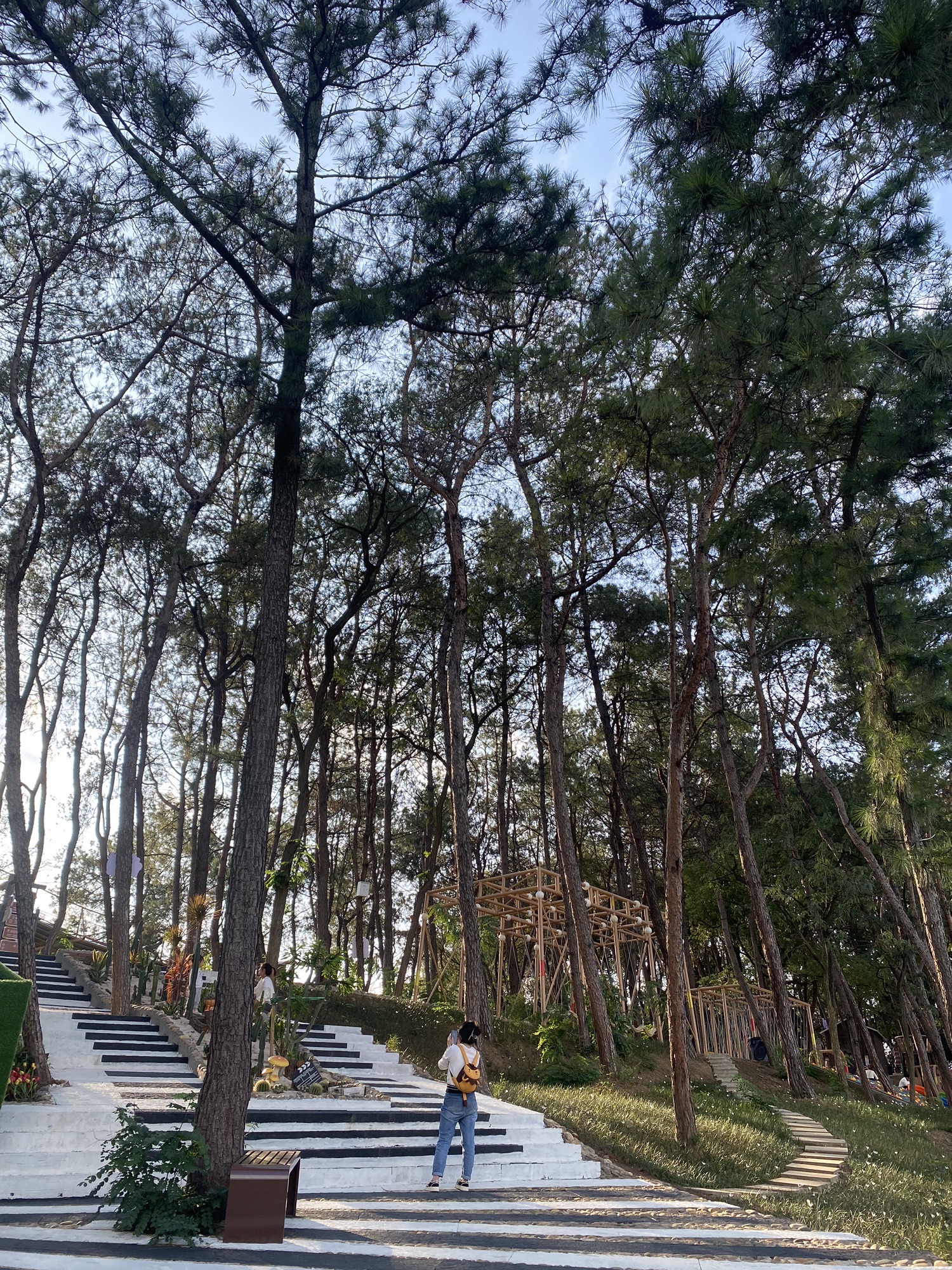 松山公园旅行图片 3