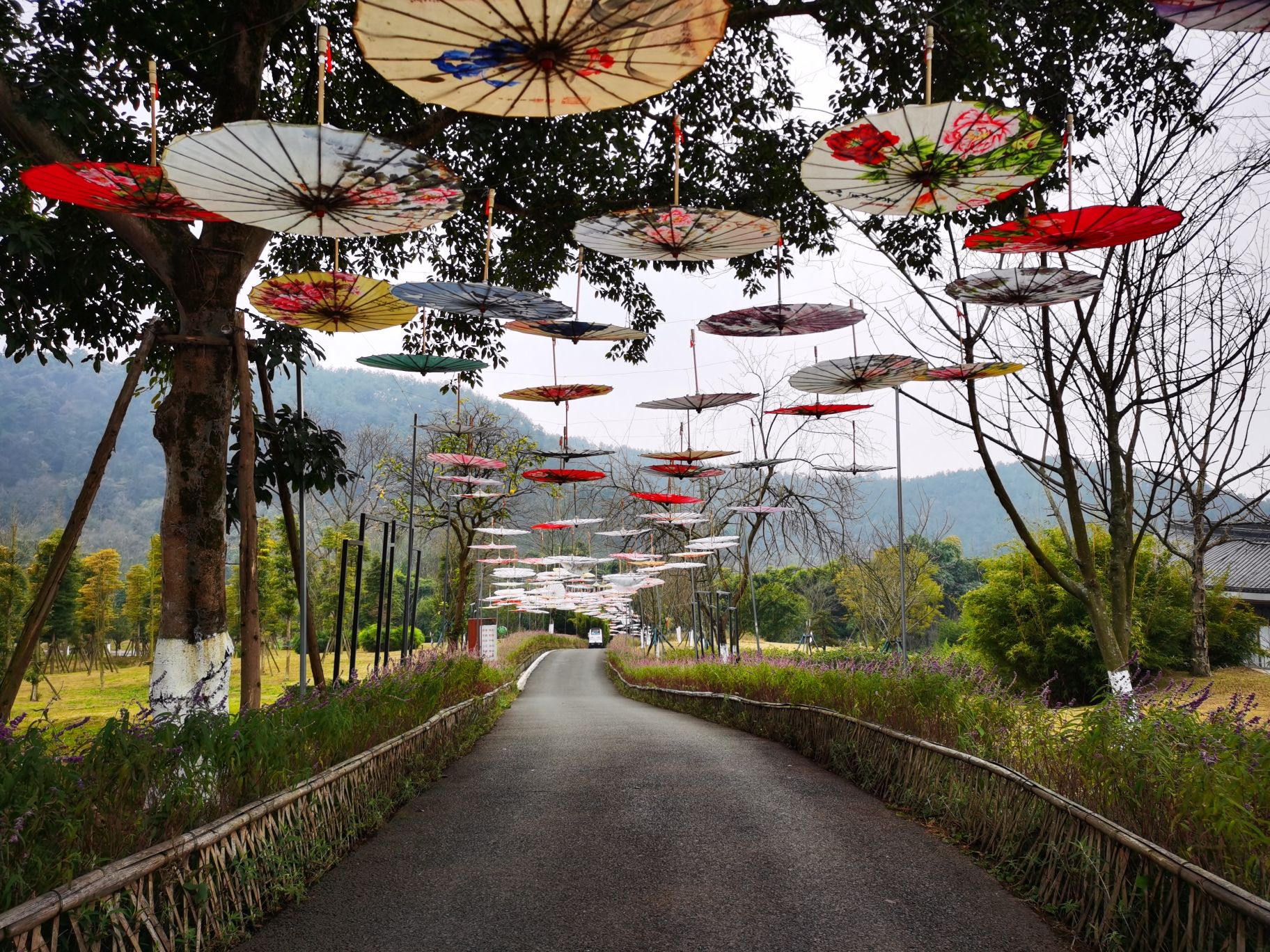 彭祖山景区旅行图片 3
