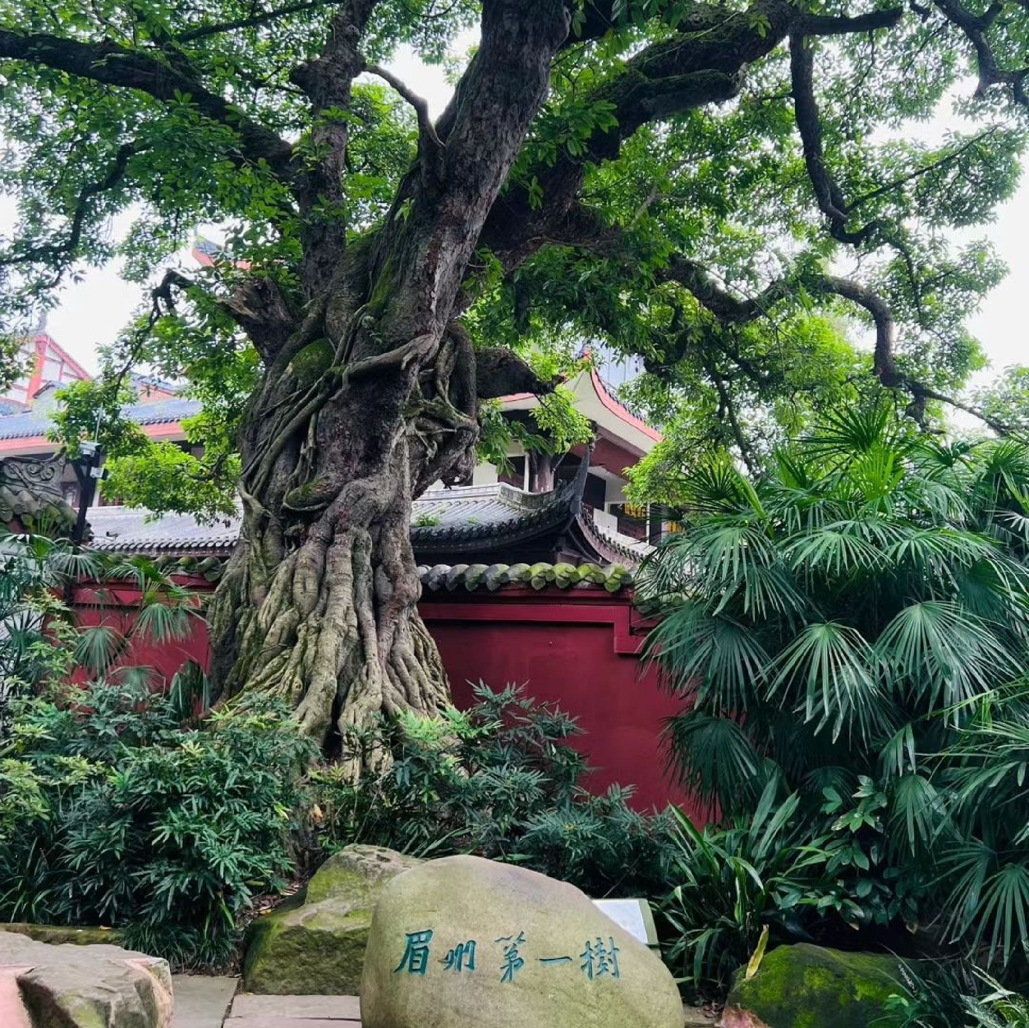 三苏祠旅行图片 1
