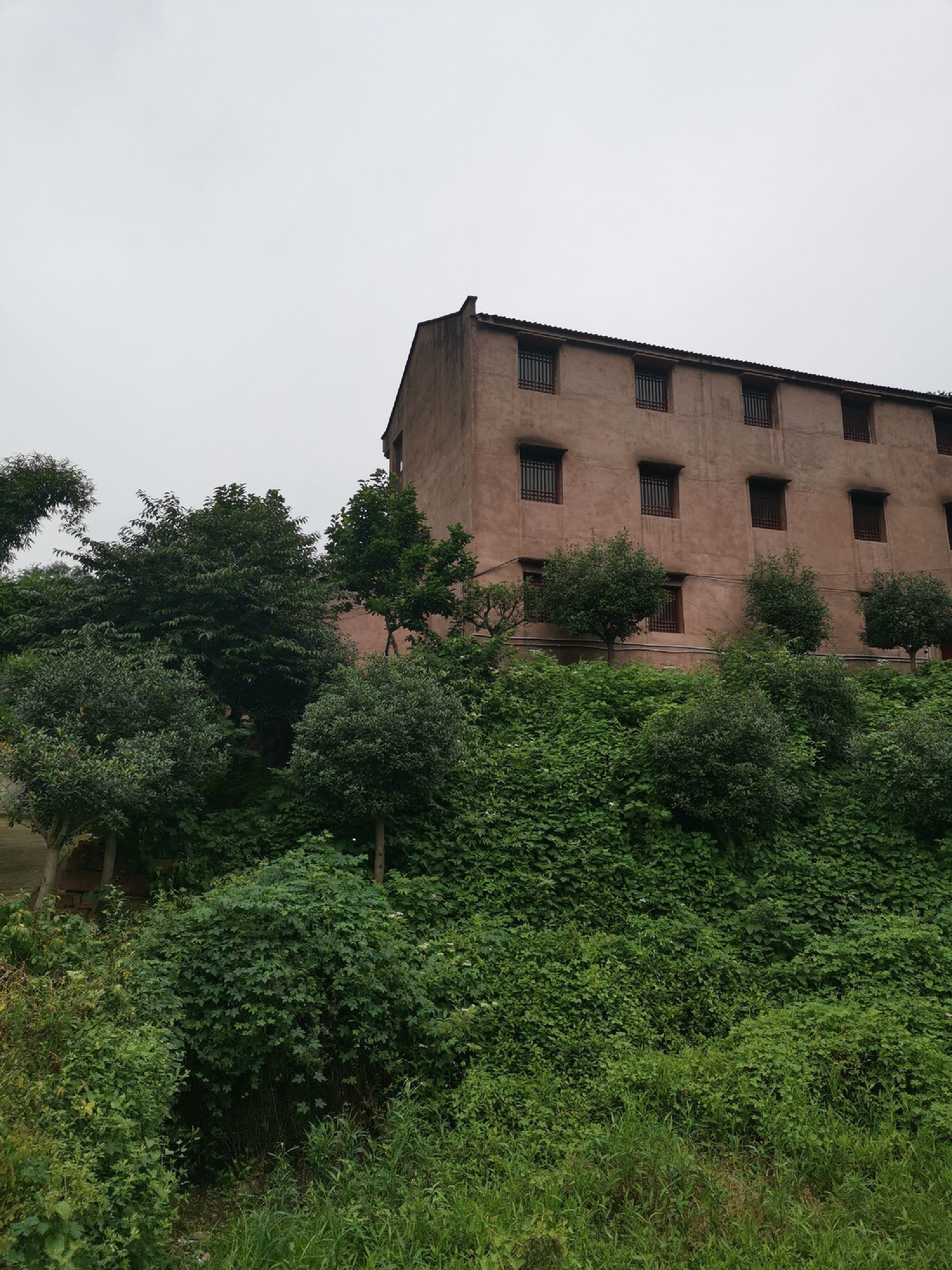 寂照庵旅行图片 1