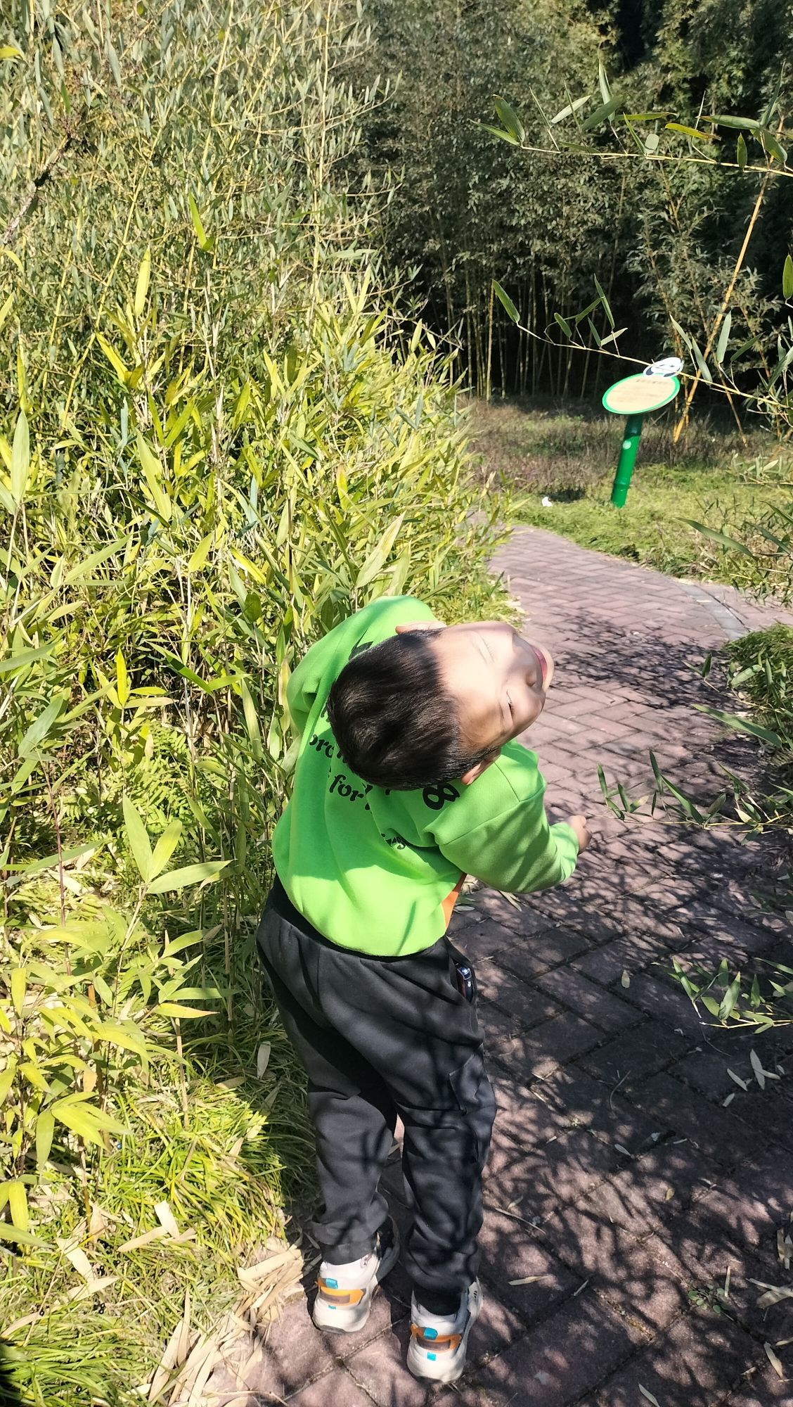 中国竹艺城旅行图片 1