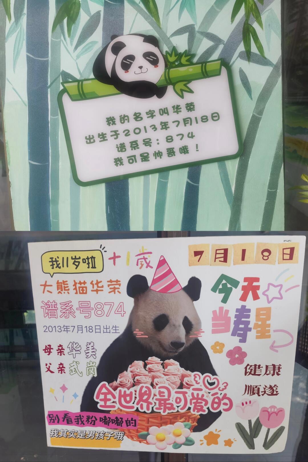 中国竹艺城旅行图片 3