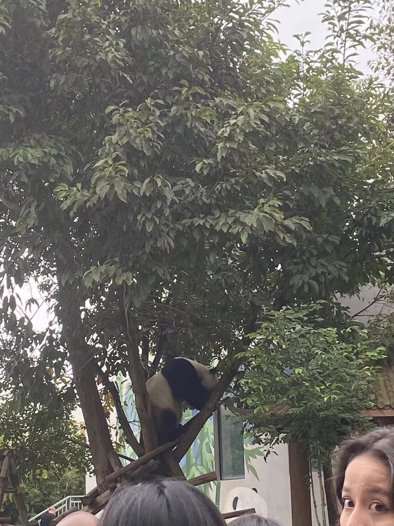中国竹艺城旅行图片 3