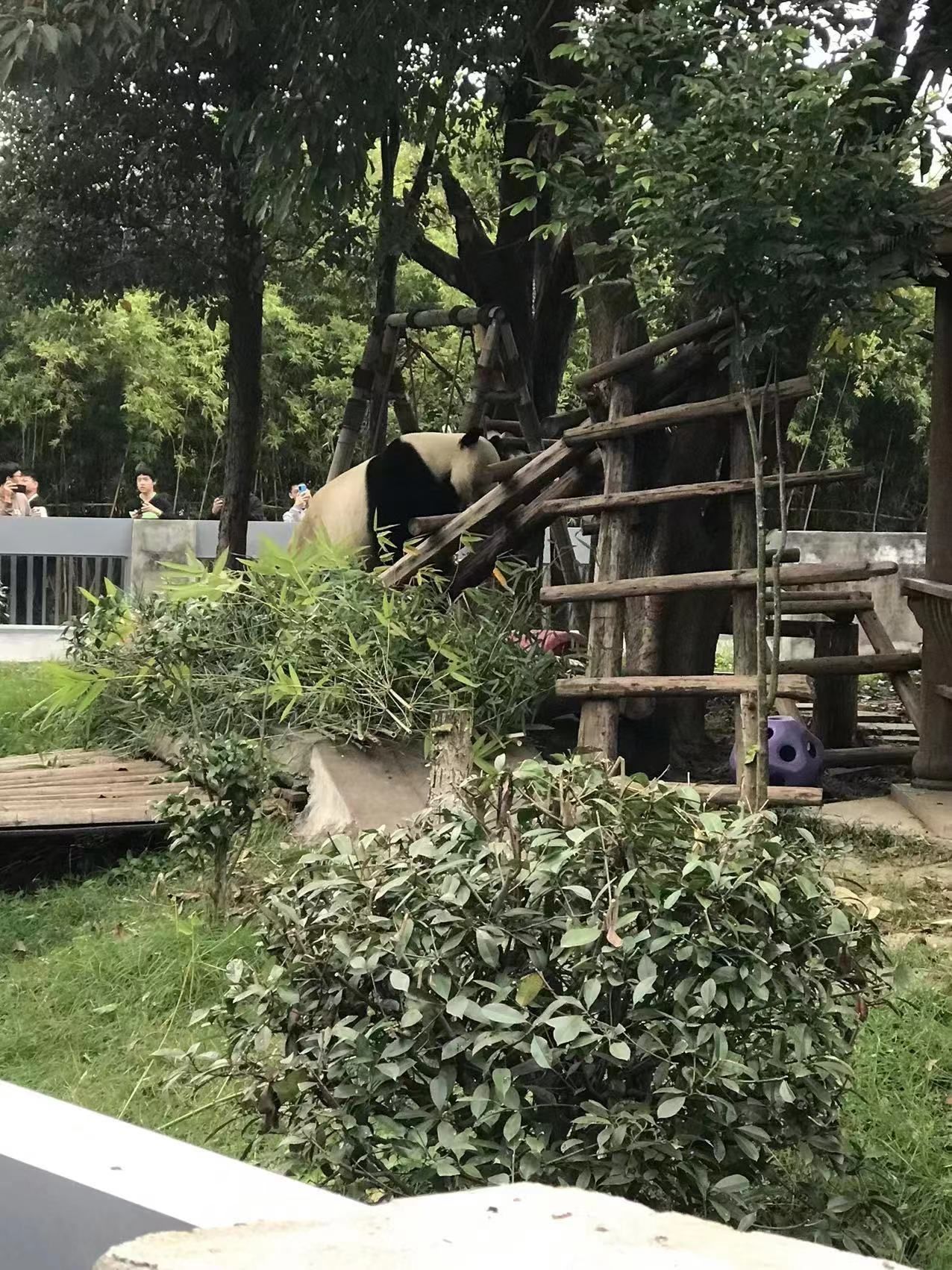 中国竹艺城旅行图片 2