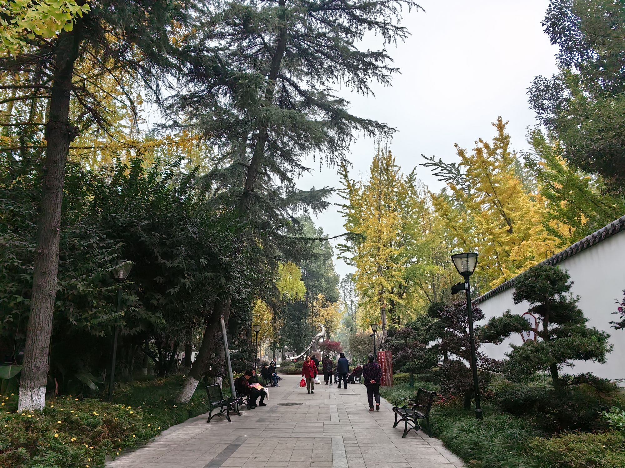 凤鸣公园旅行图片 1
