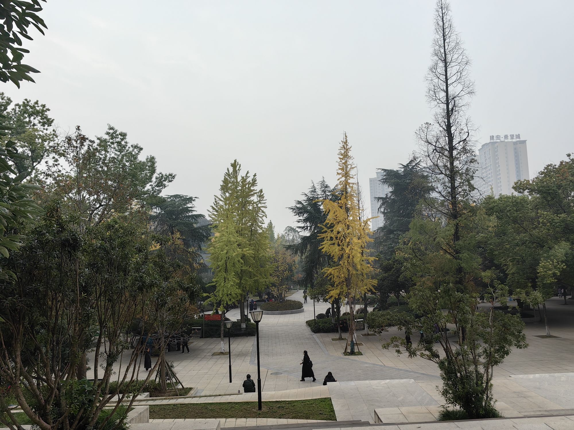 凤鸣公园旅行图片 3