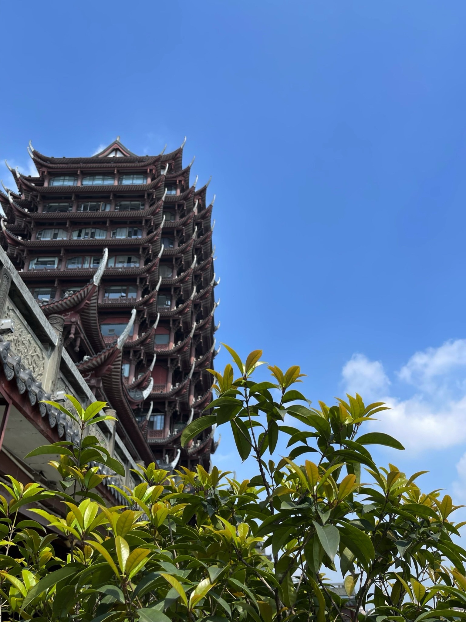 远景楼旅行图片 1