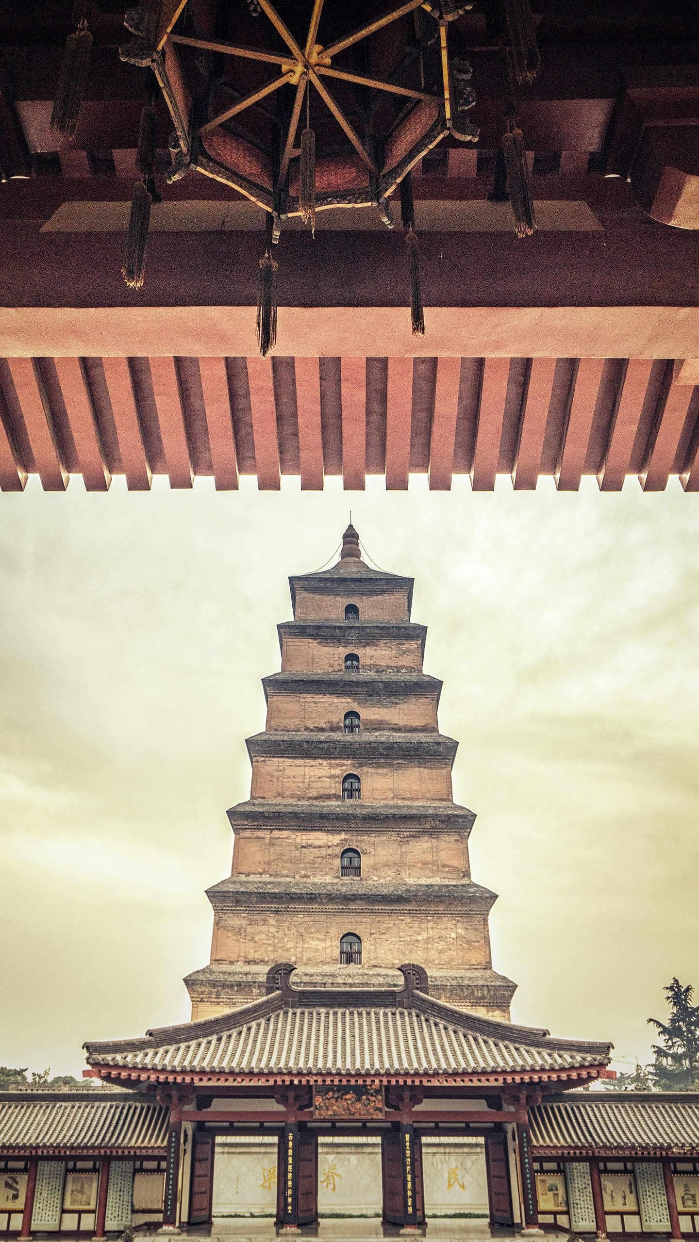 远景楼旅行图片 2