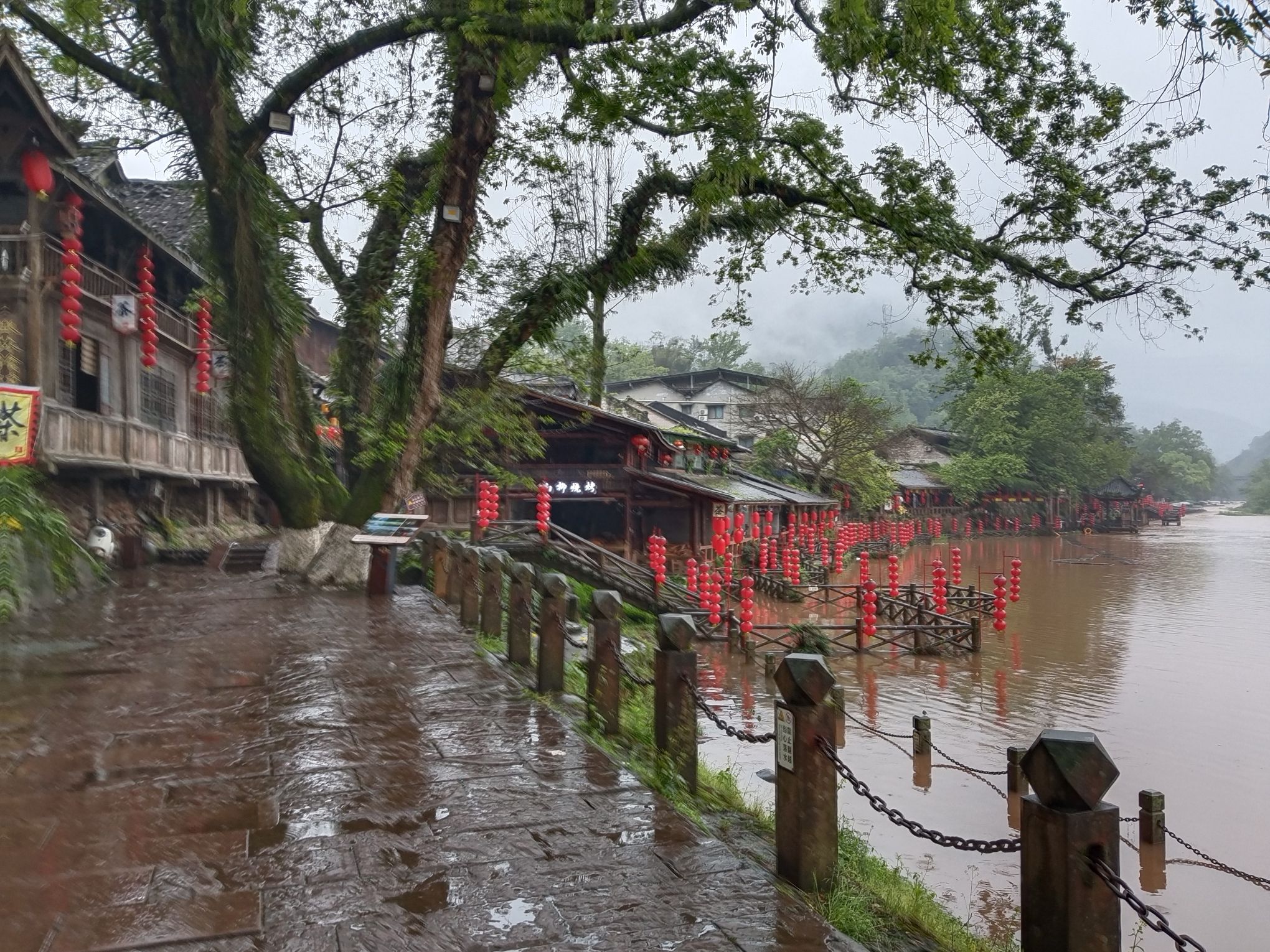 柳江古镇旅行图片 2