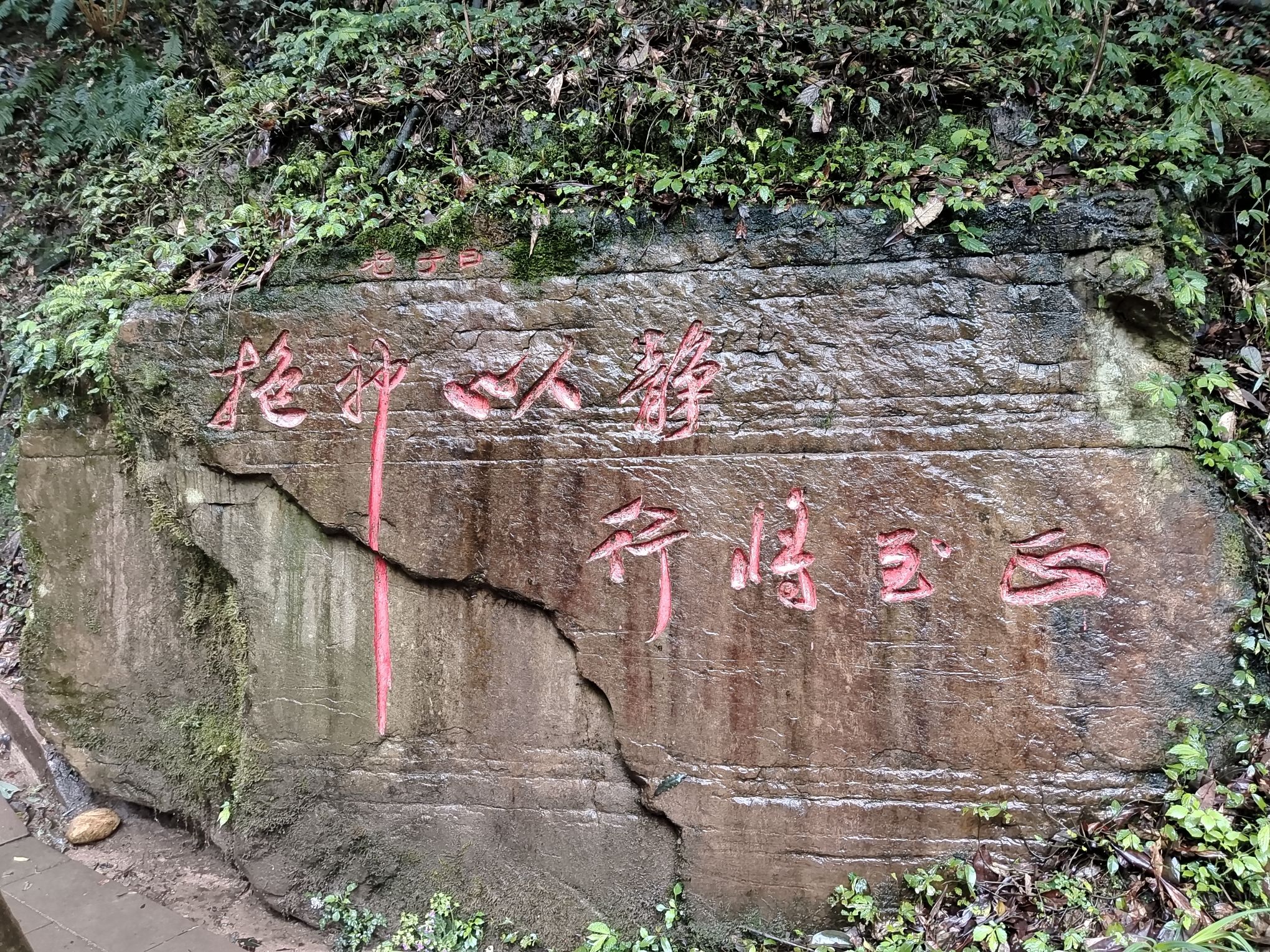 瓦屋山风景区旅行图片 2