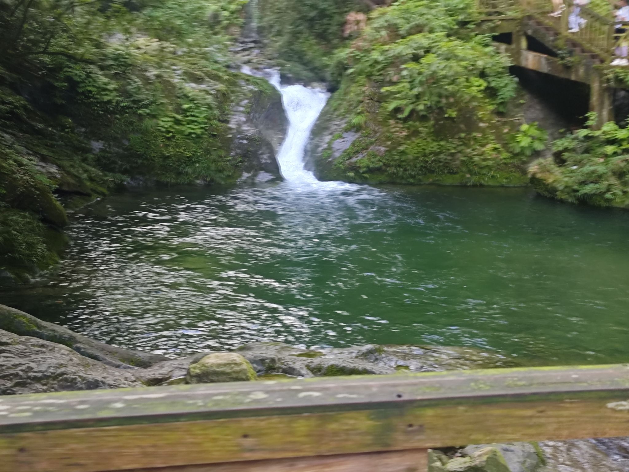 瓦屋山风景区旅行图片 3