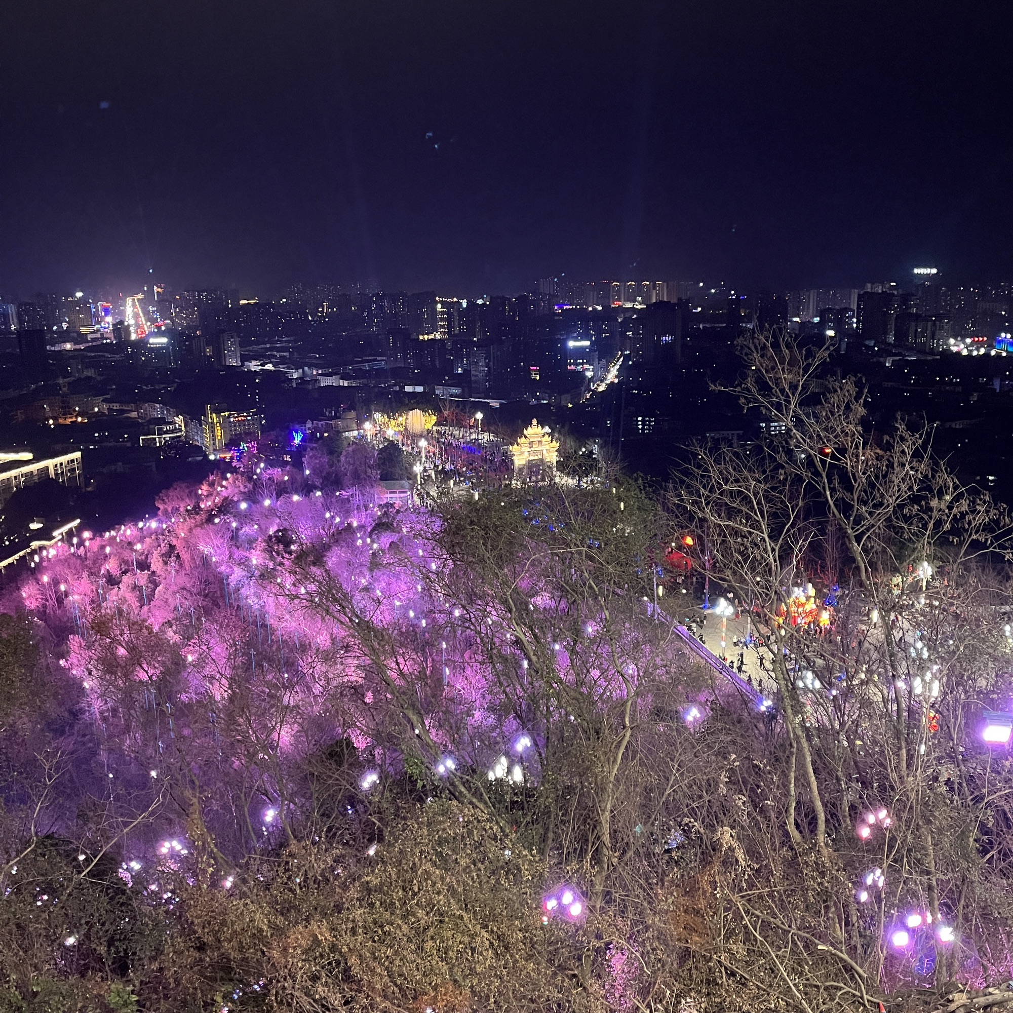天仁公园旅行图片 1