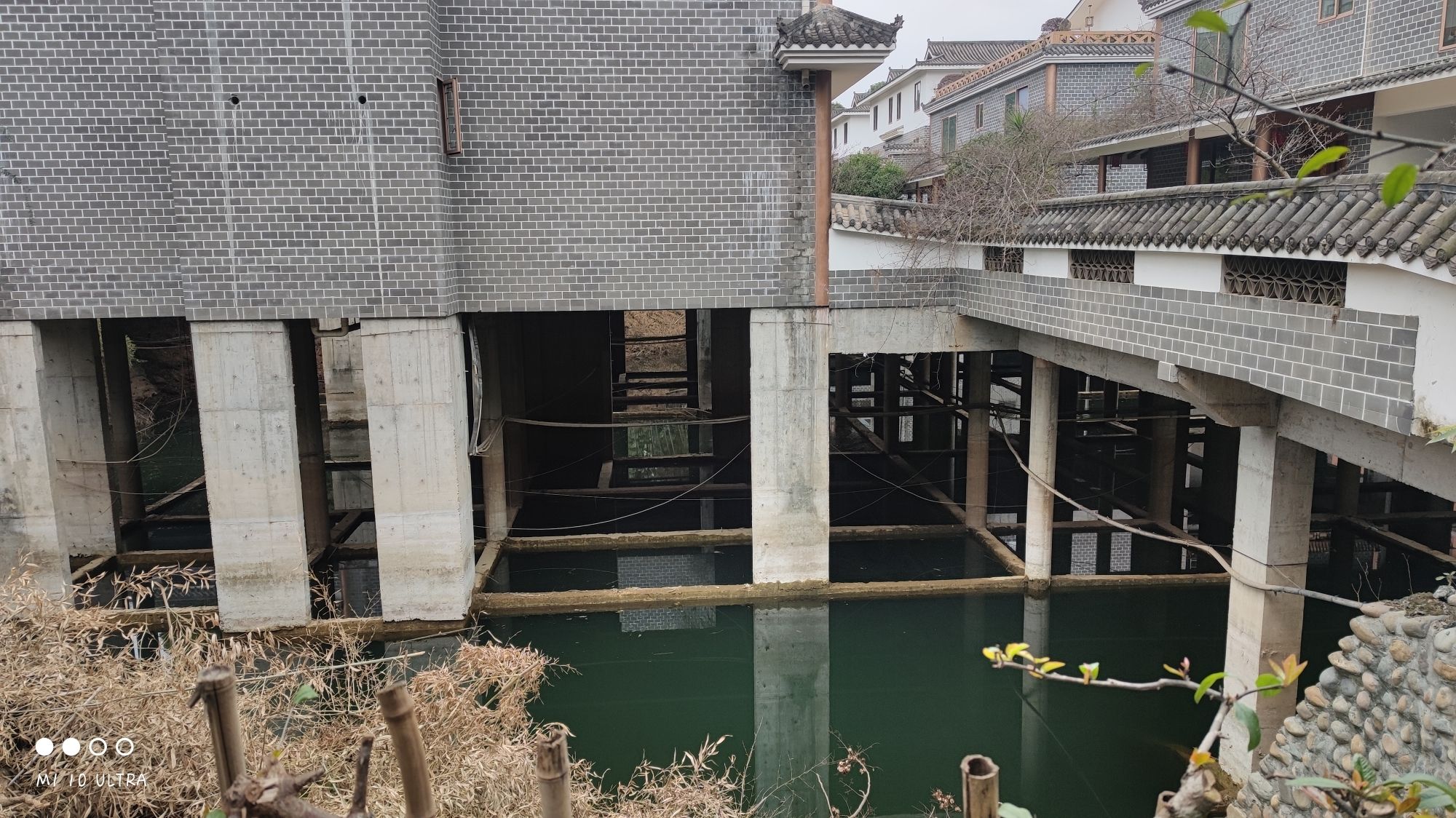 青神江湾神木园旅行图片 3
