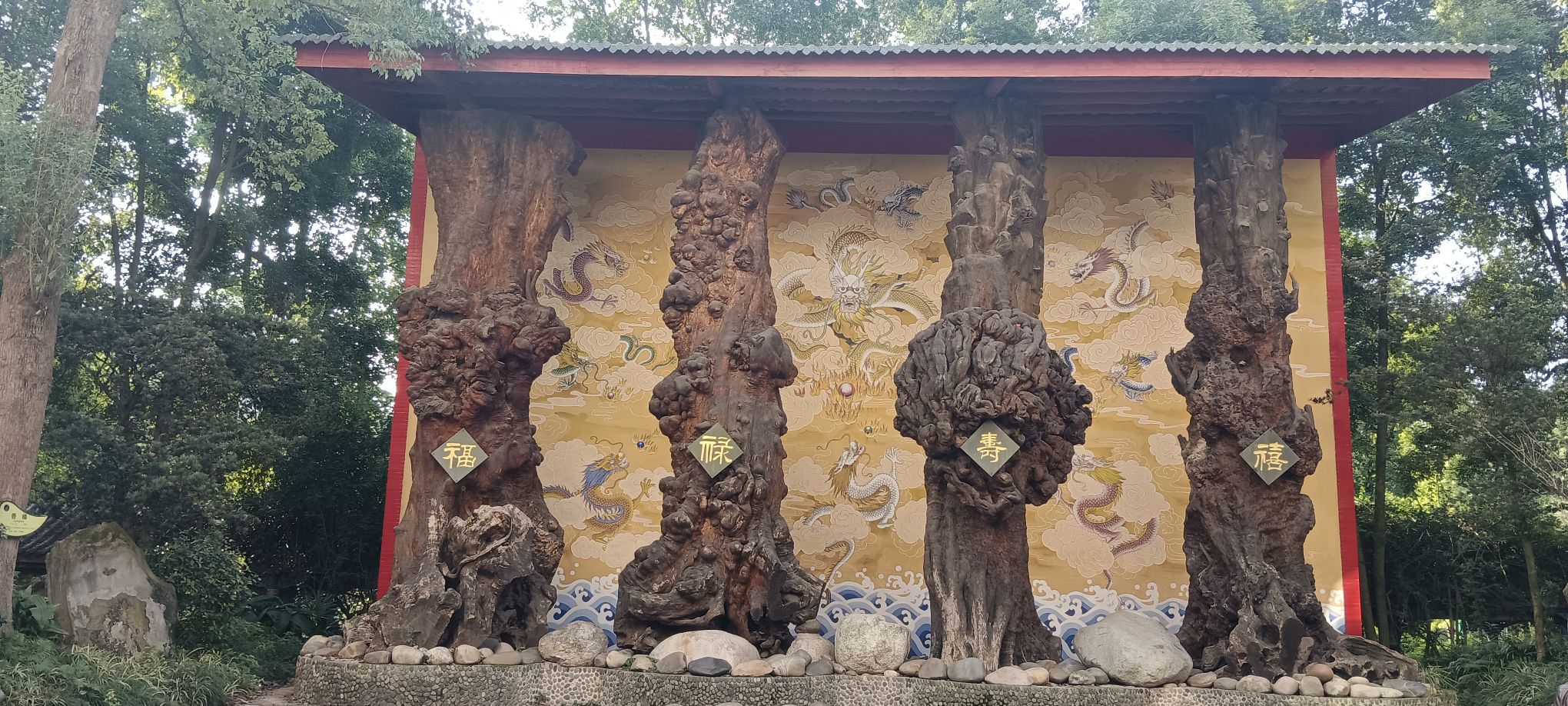 青神江湾神木园旅行图片 3
