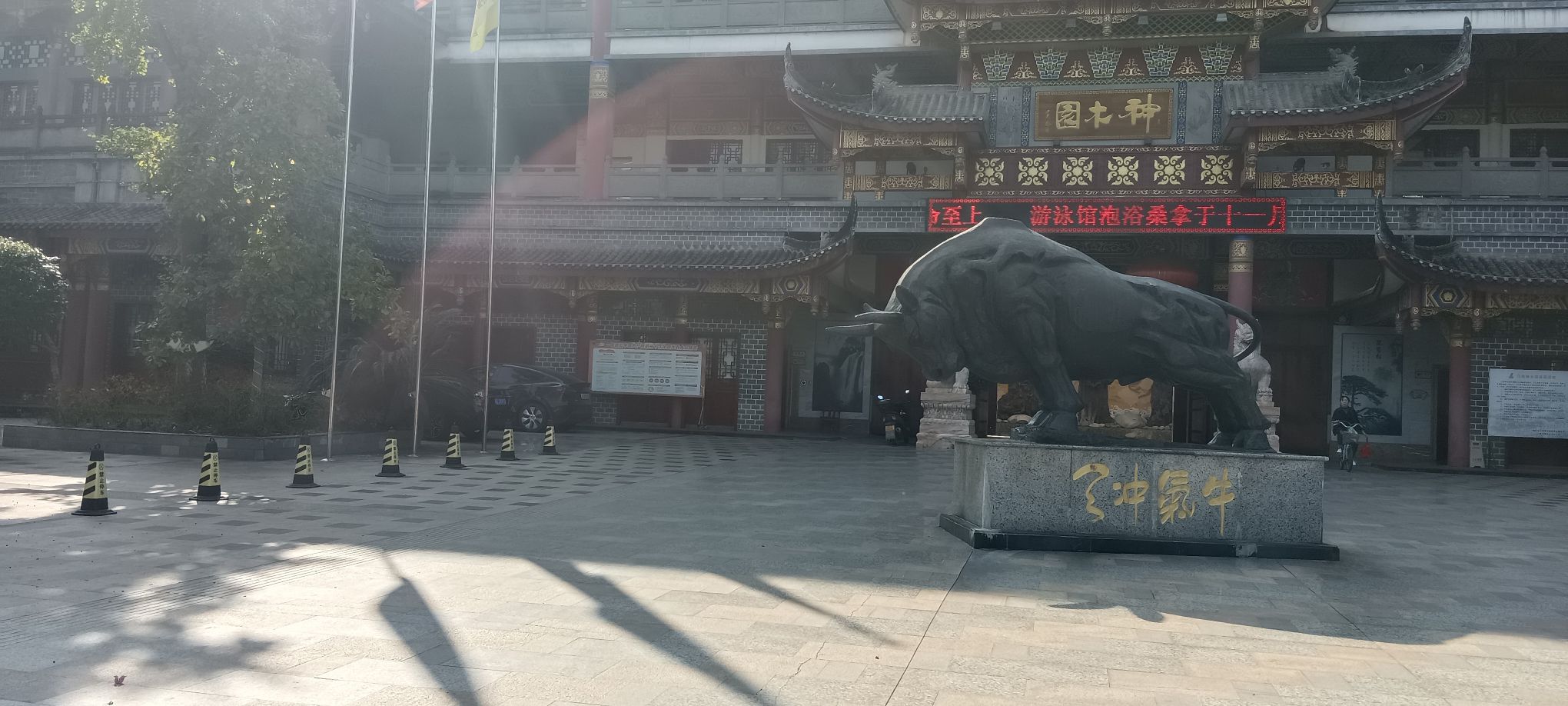 青神江湾神木园旅行图片 1