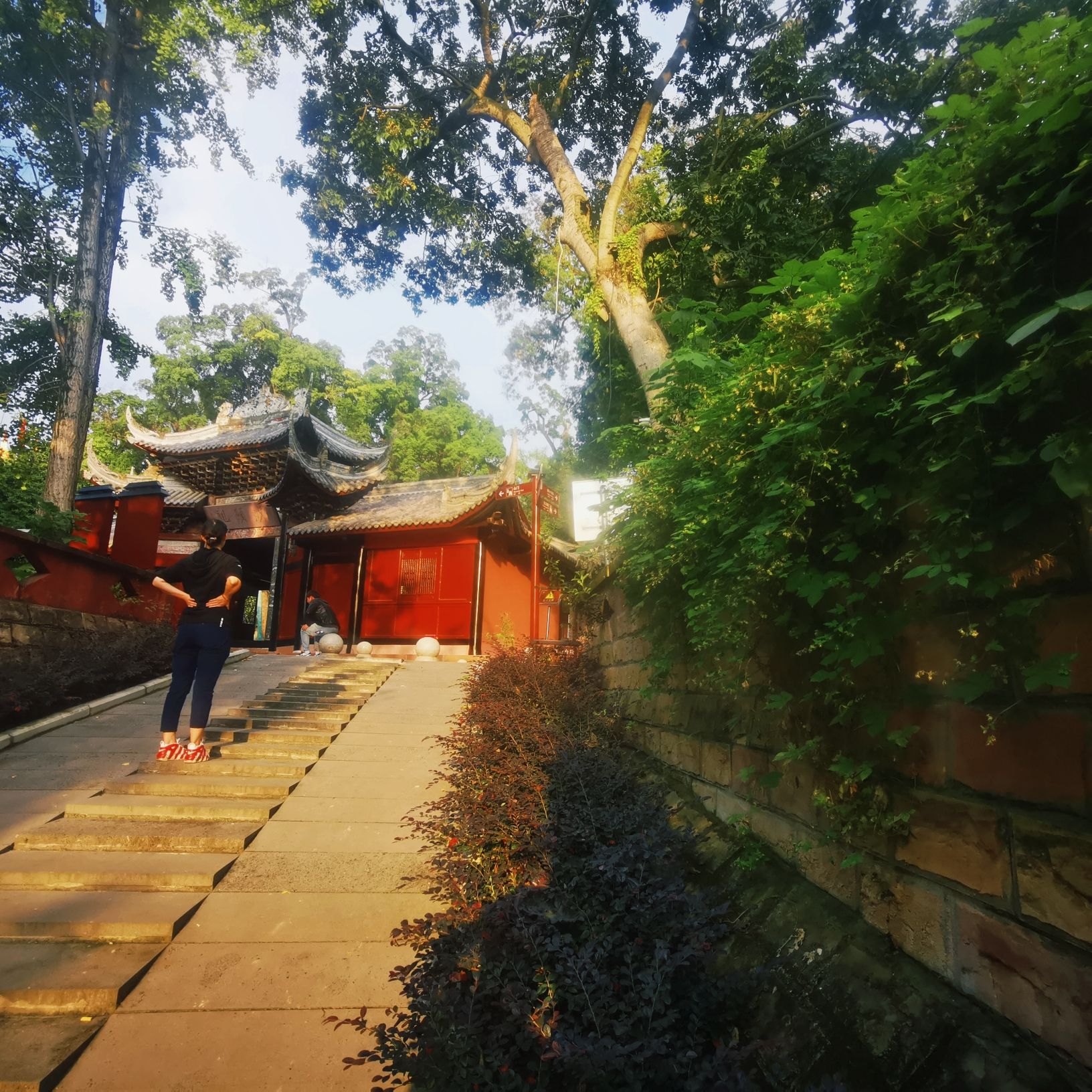 蟆颐山旅行图片 3
