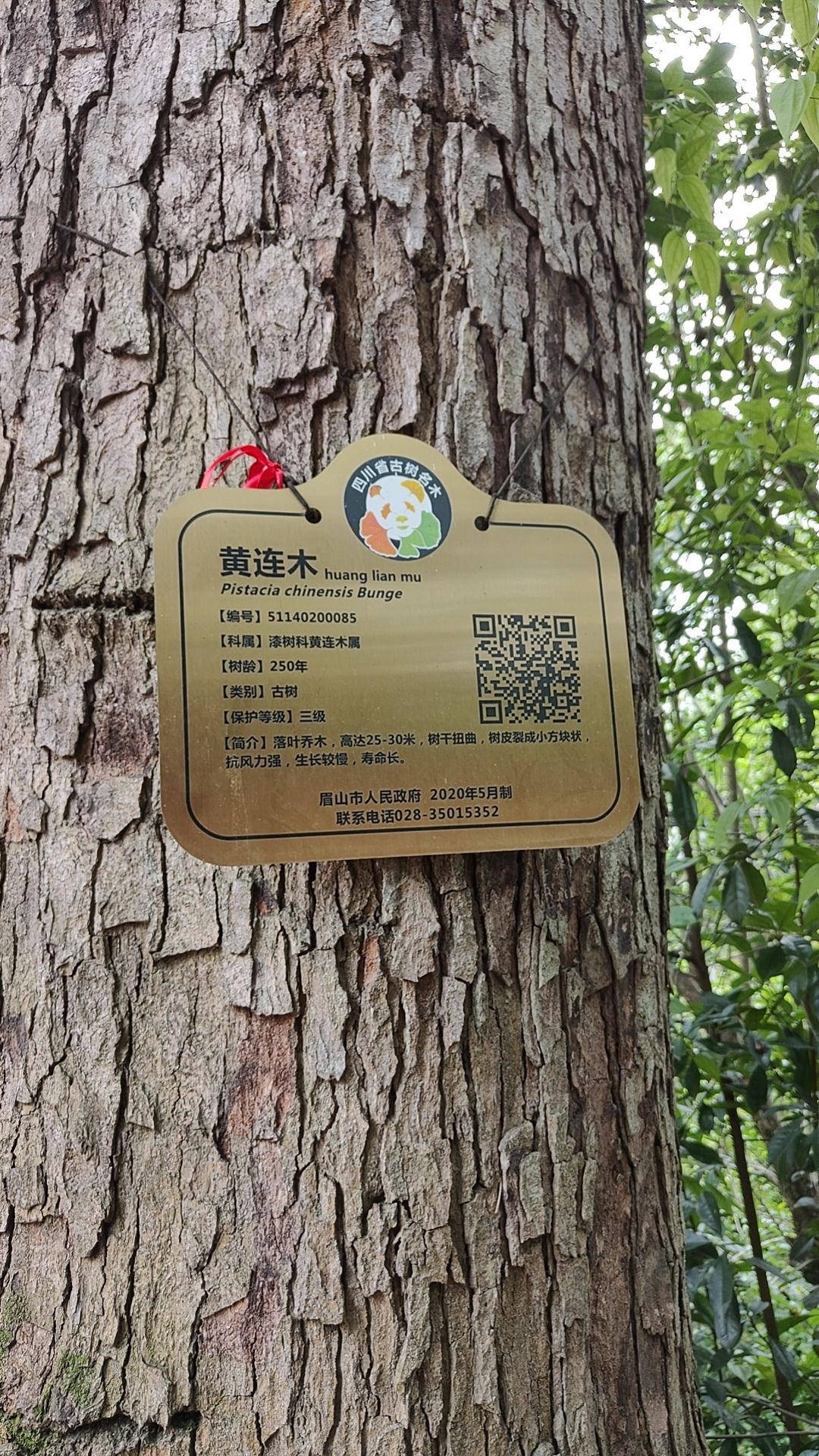 蟆颐山旅行图片 3