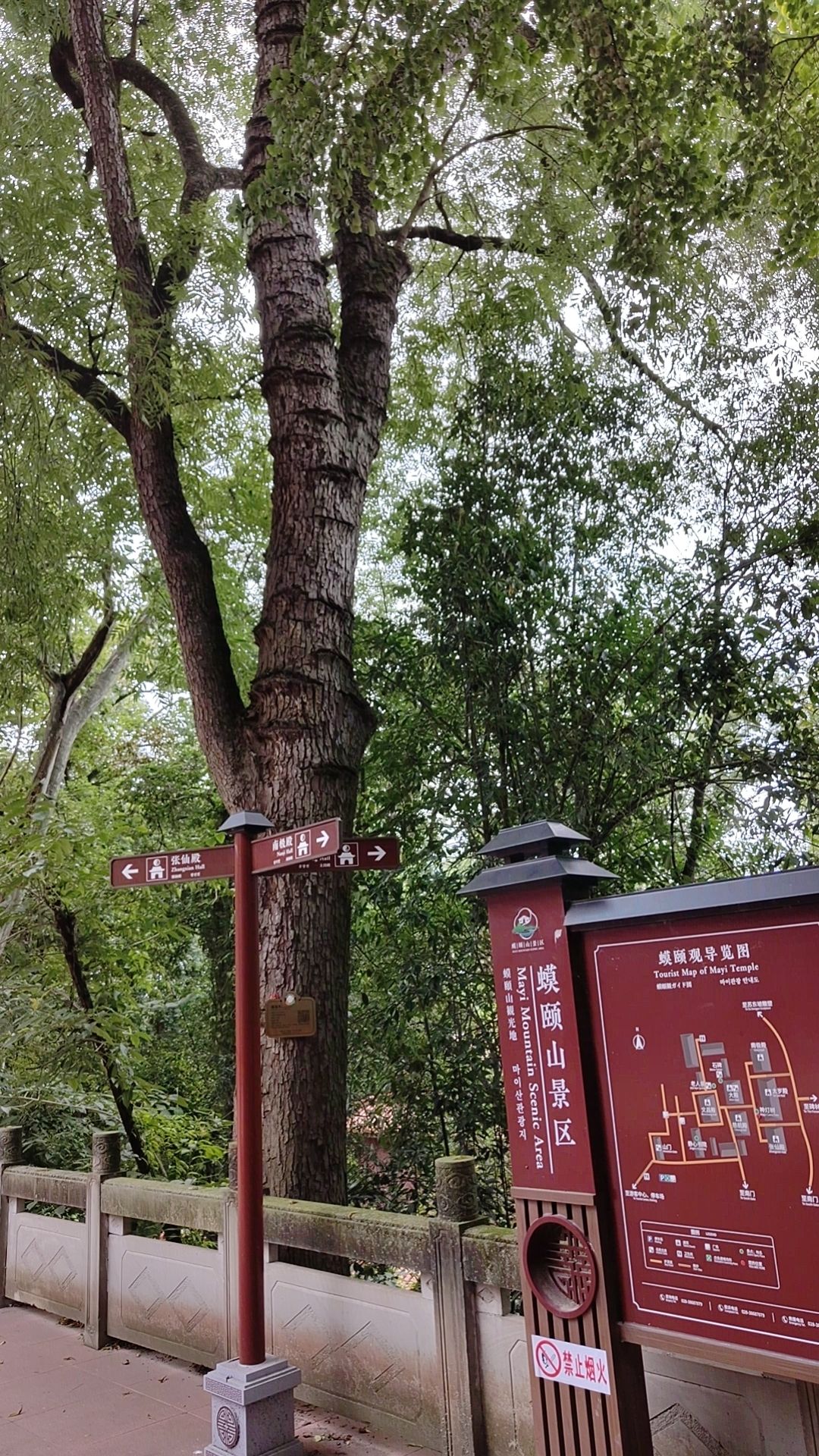 蟆颐山旅行图片 2