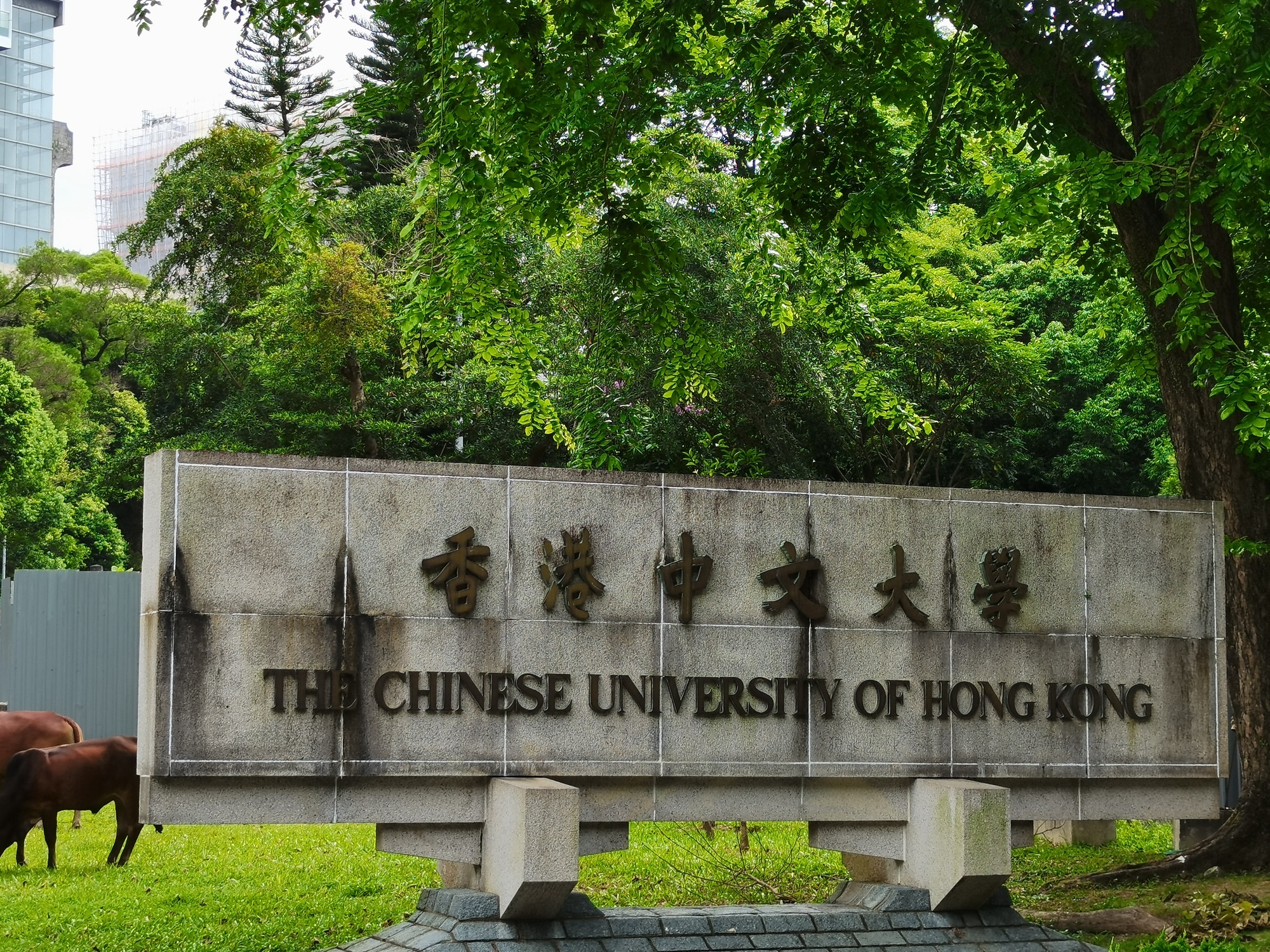 香港中文大学