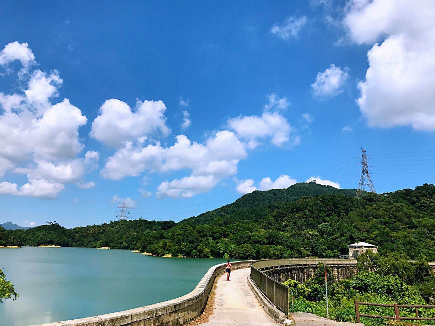 金山郊野公园