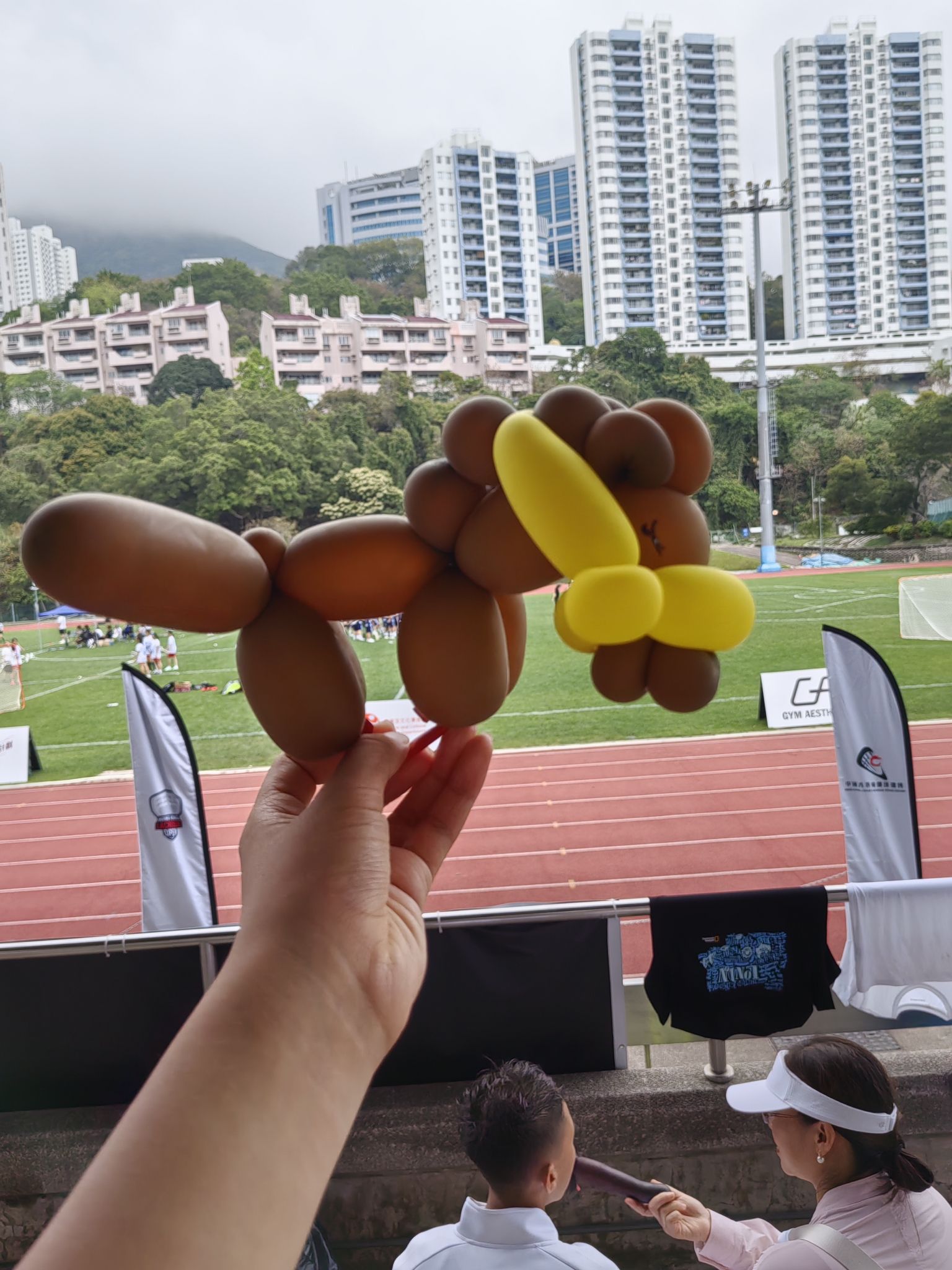 香港大学何鸿燊体育中心