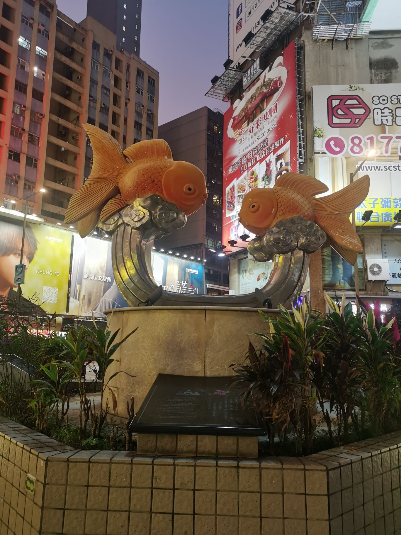 Goldfish Market