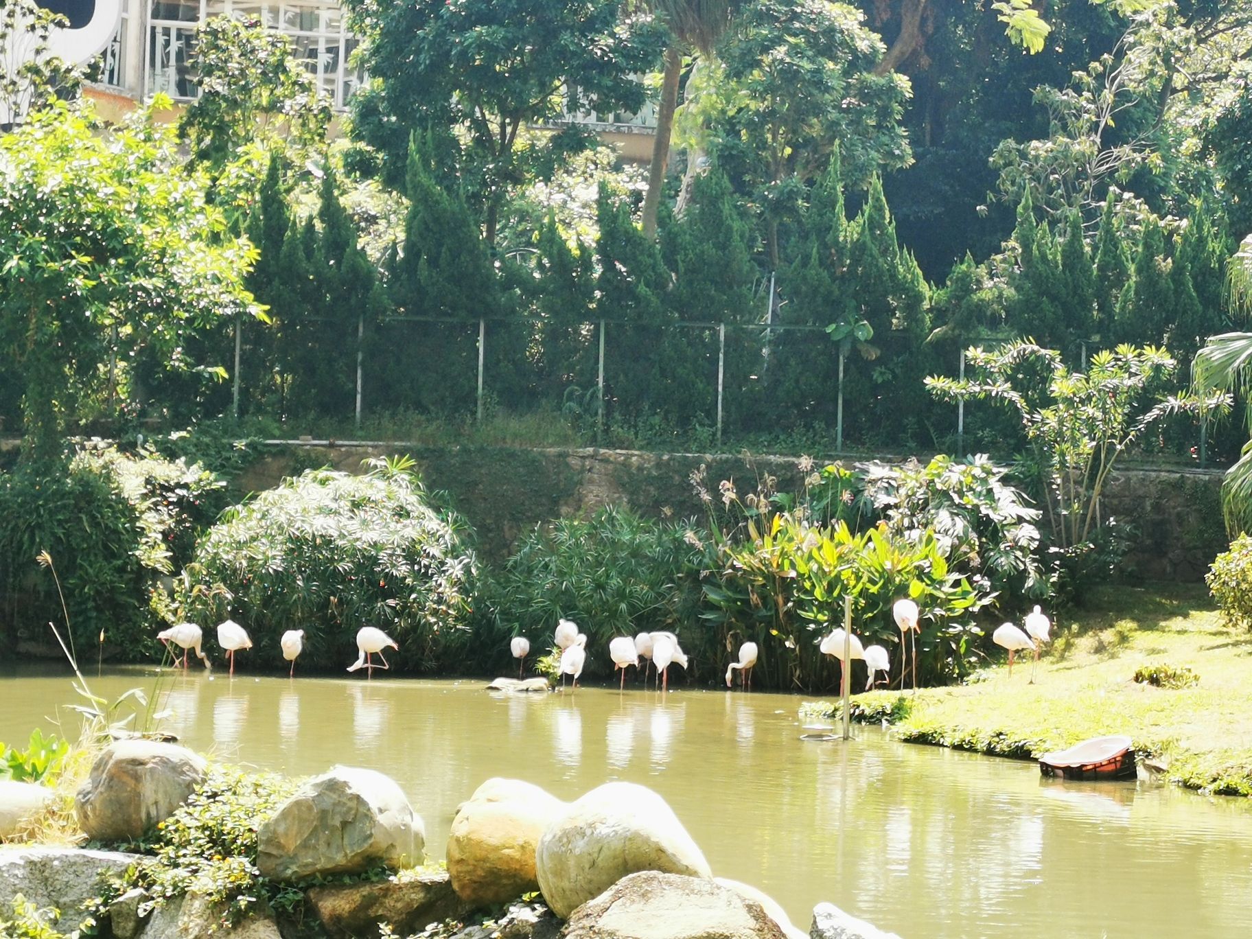 石排湾郊野公园