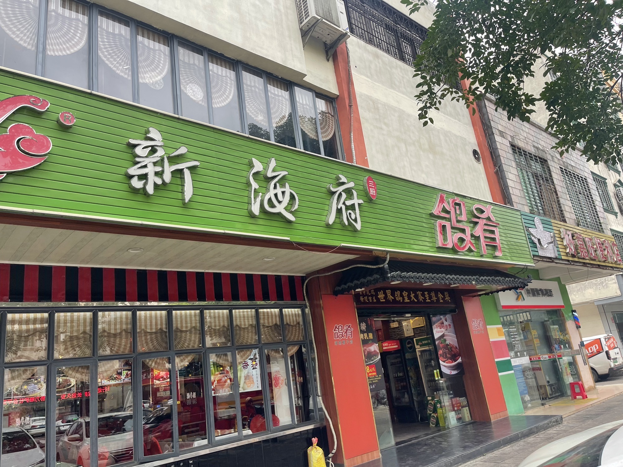 海南椰子鸽新海府鸽肴