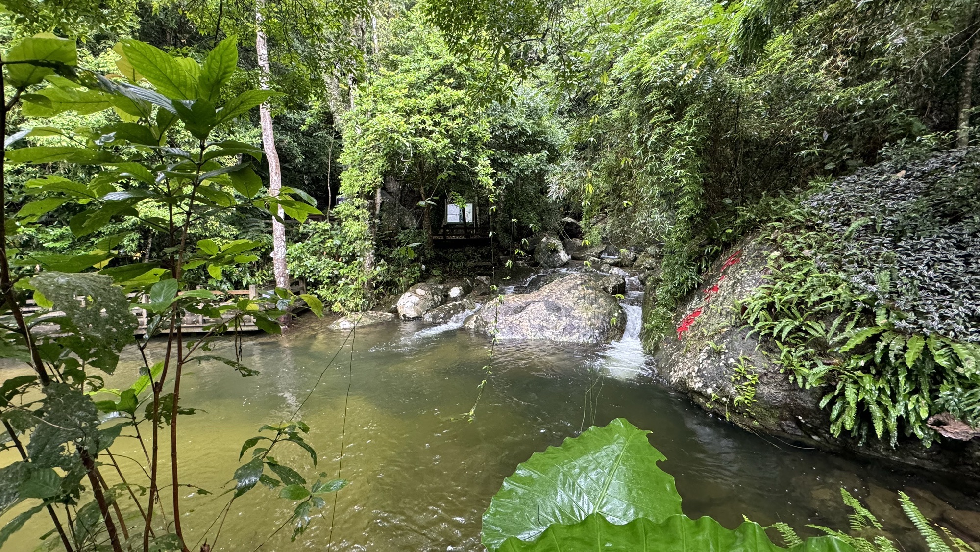 五指山寨