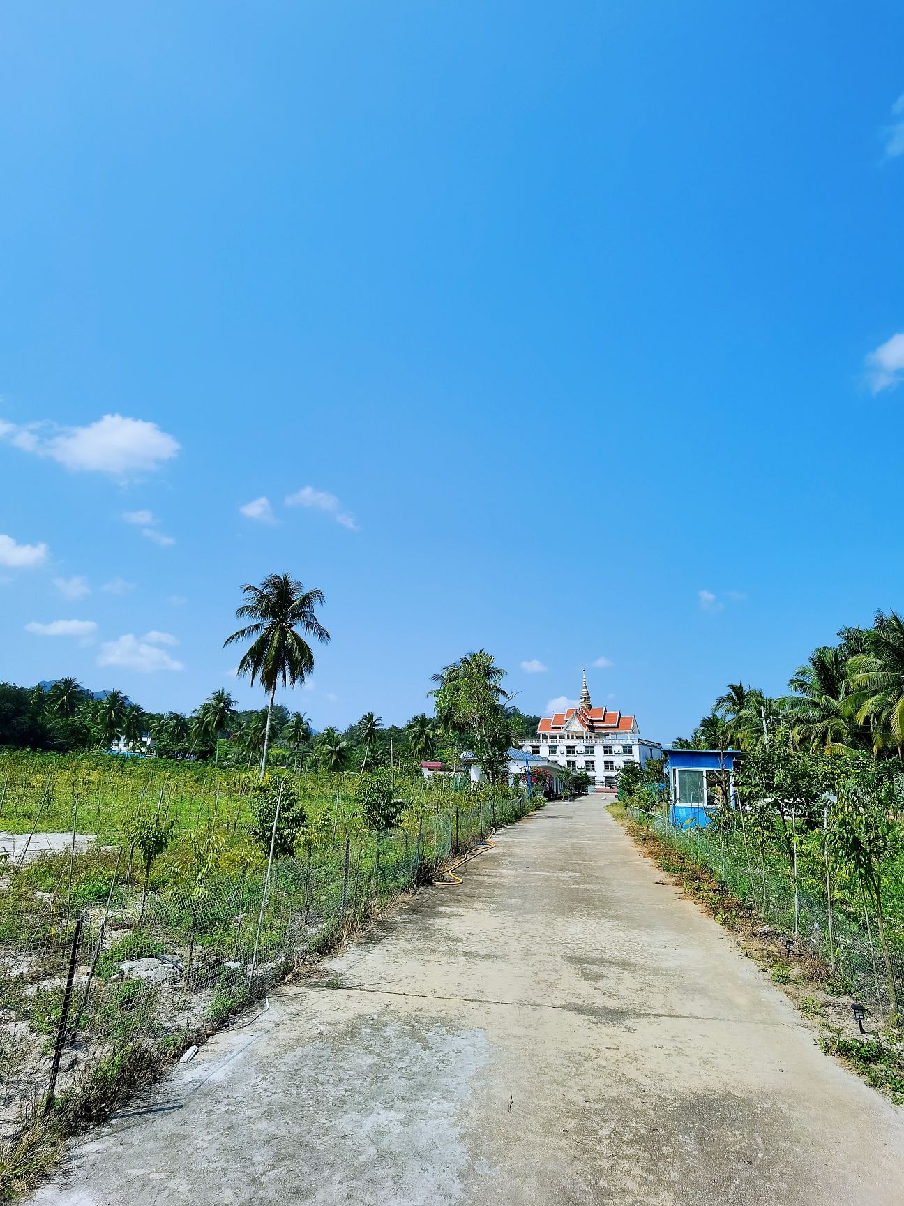 兴隆东南亚风情村