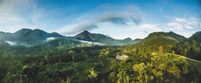 黎母山森林公园