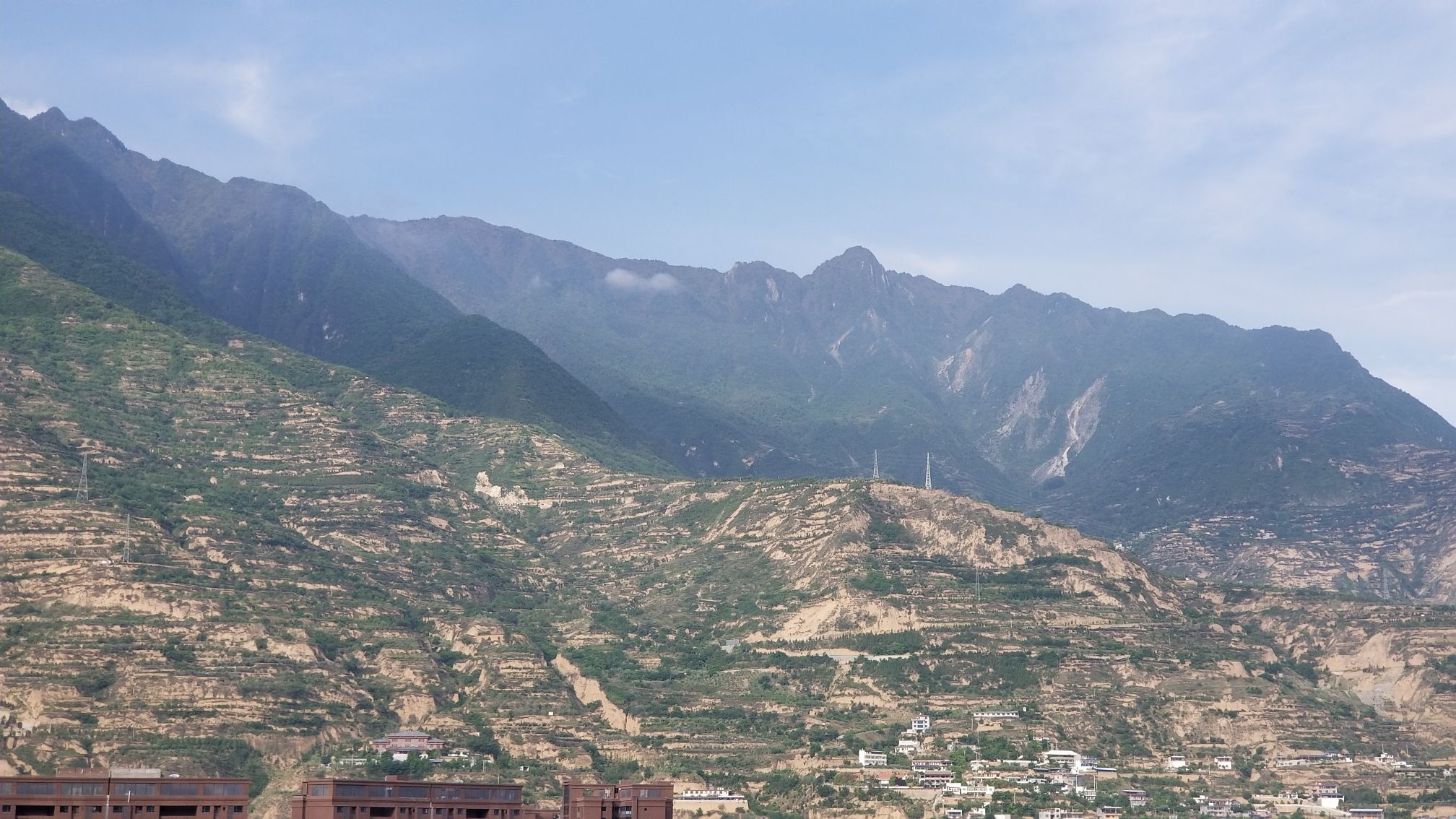 阶州植物园
