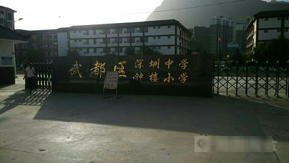 武都区深圳中学
