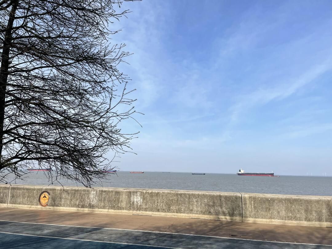 宝山滨江公园旅行图片 3