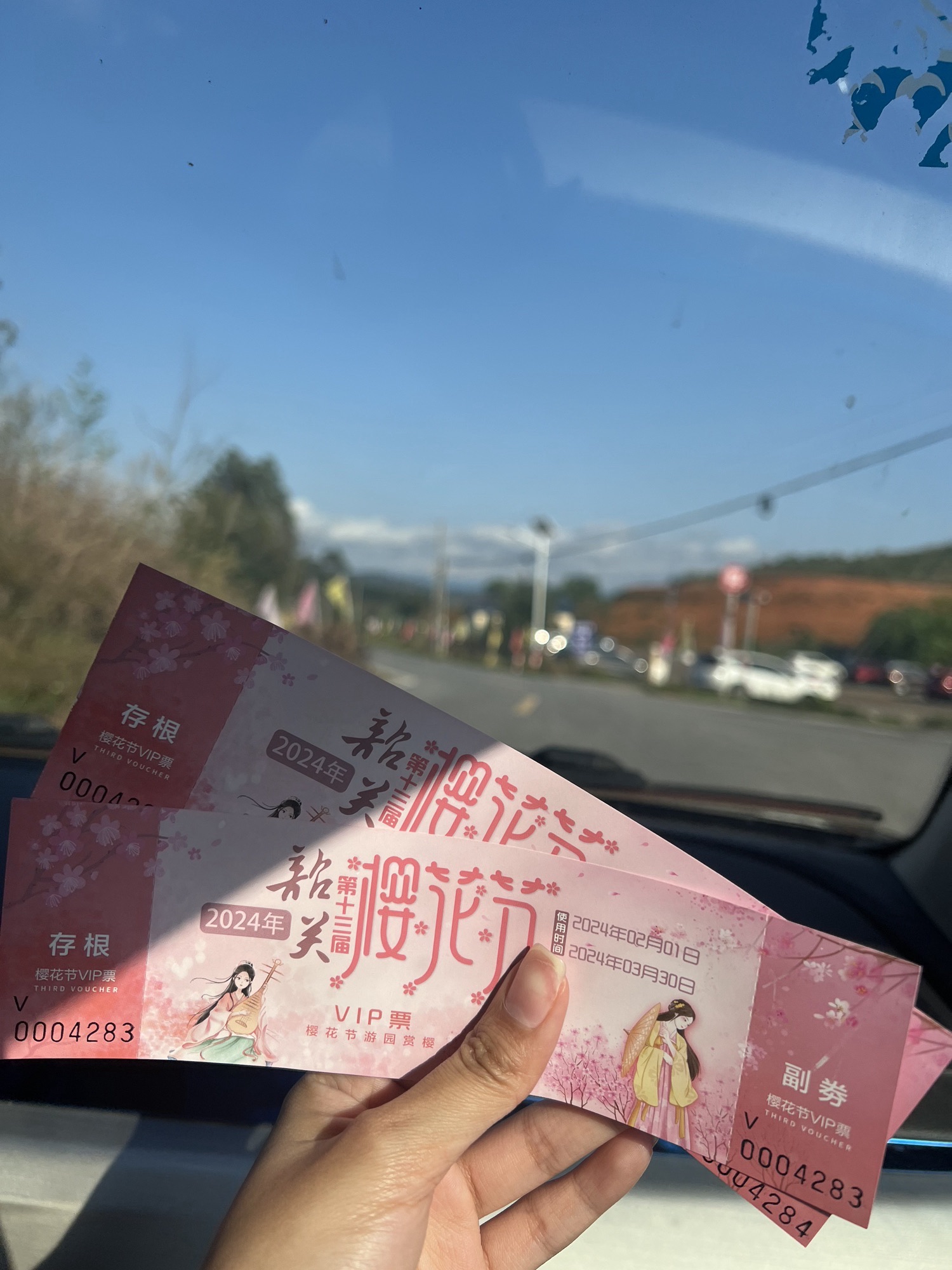 韶关樱花公园旅行图片 1