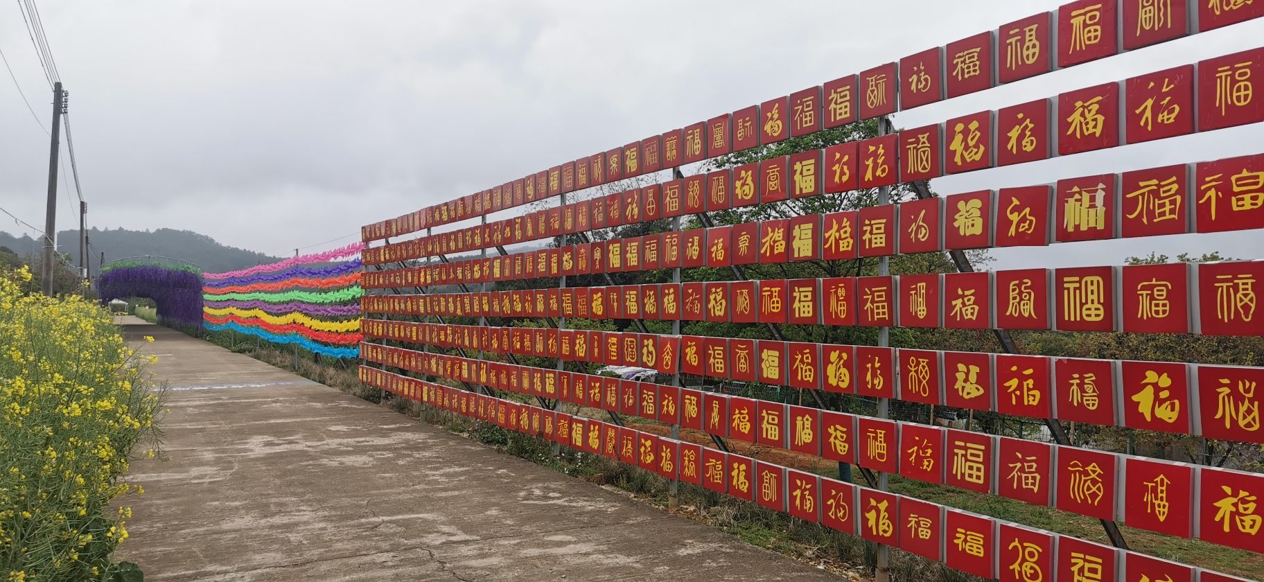 韶关樱花公园旅行图片 2