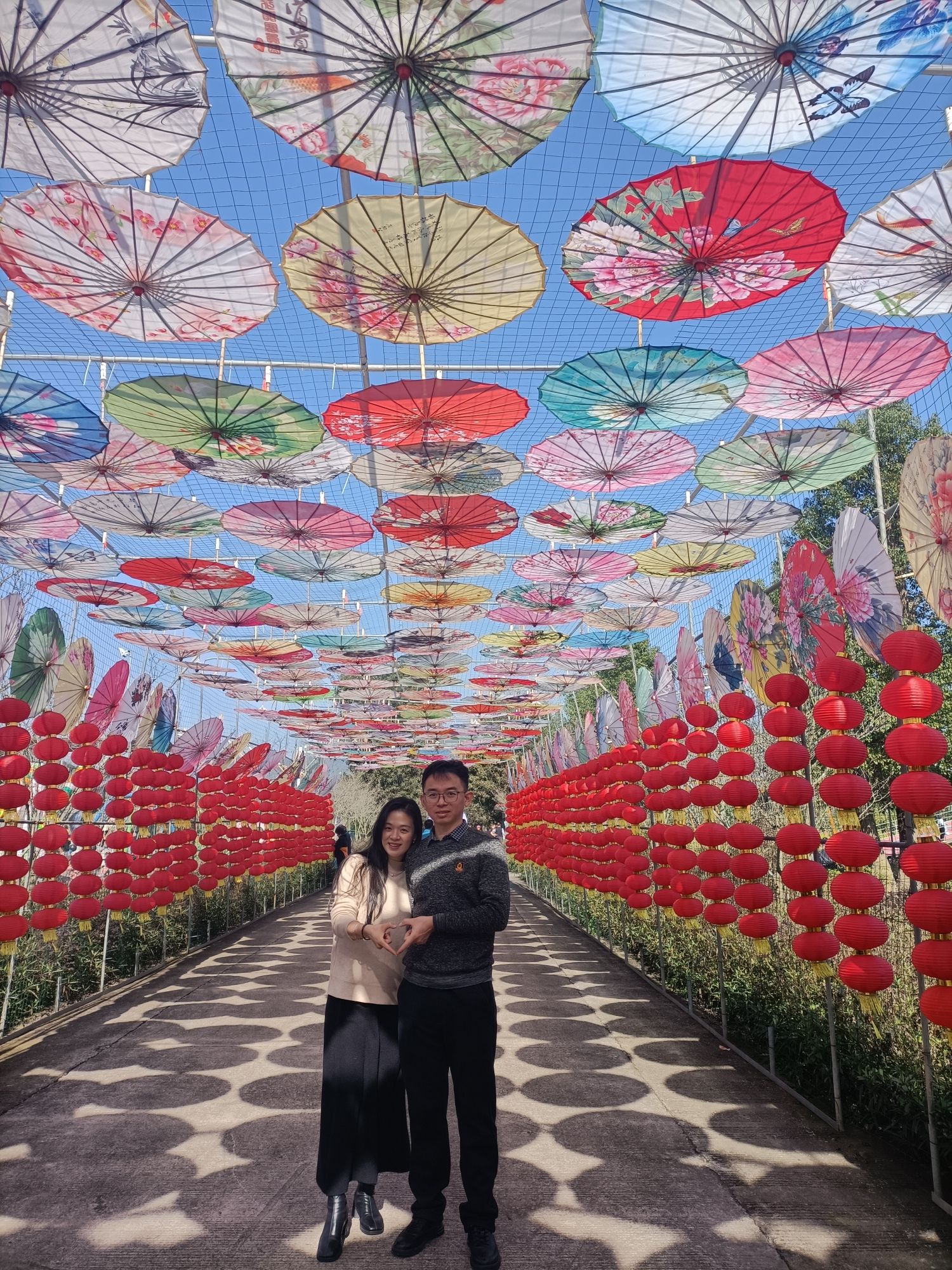 韶关樱花公园旅行图片 1