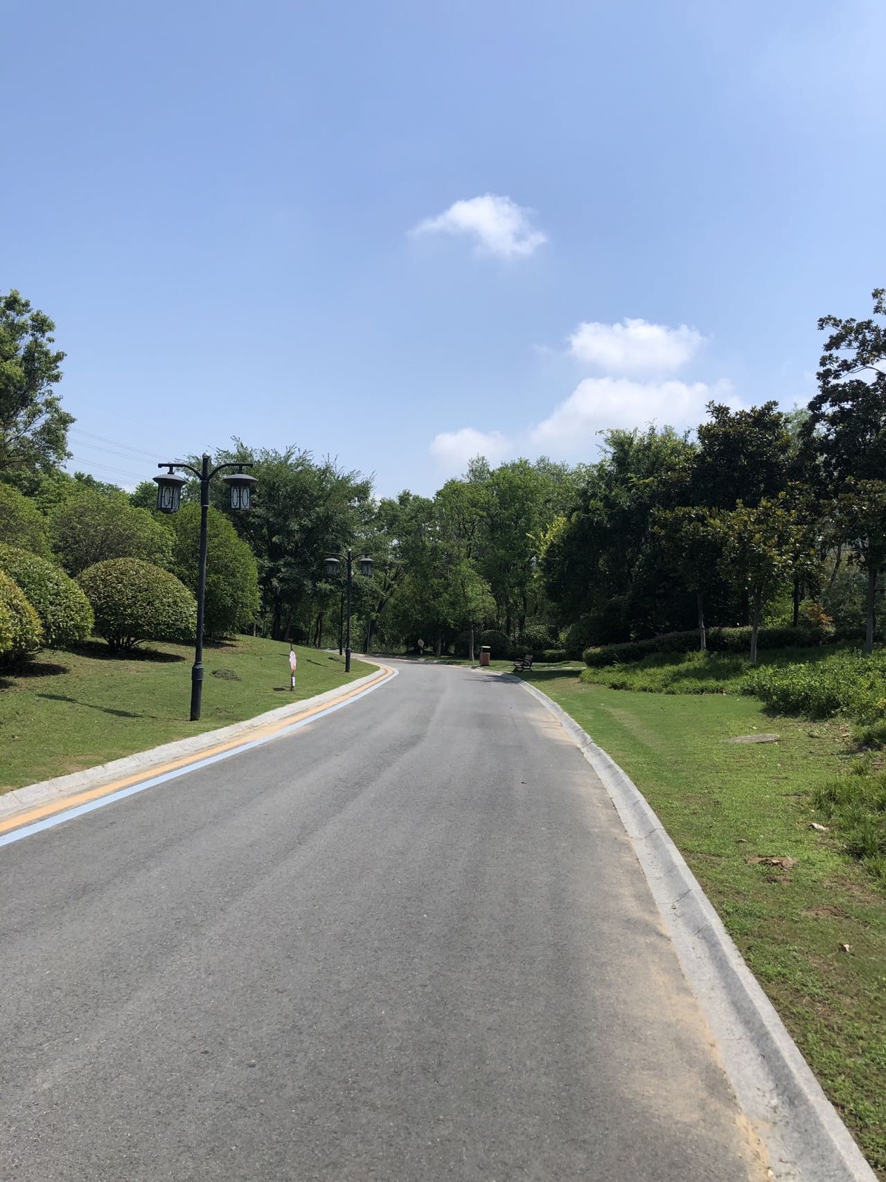 印象黄河旅行图片 3