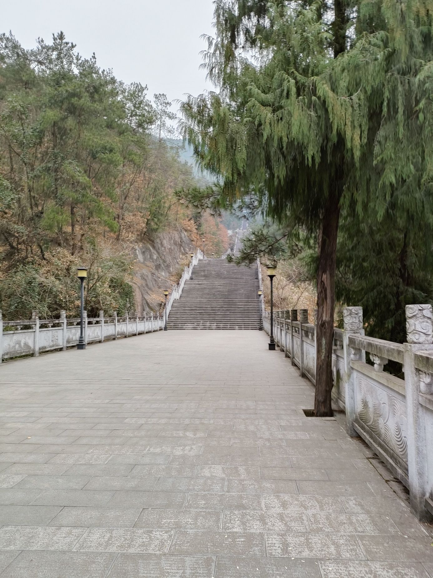 红塔公园旅行图片 2