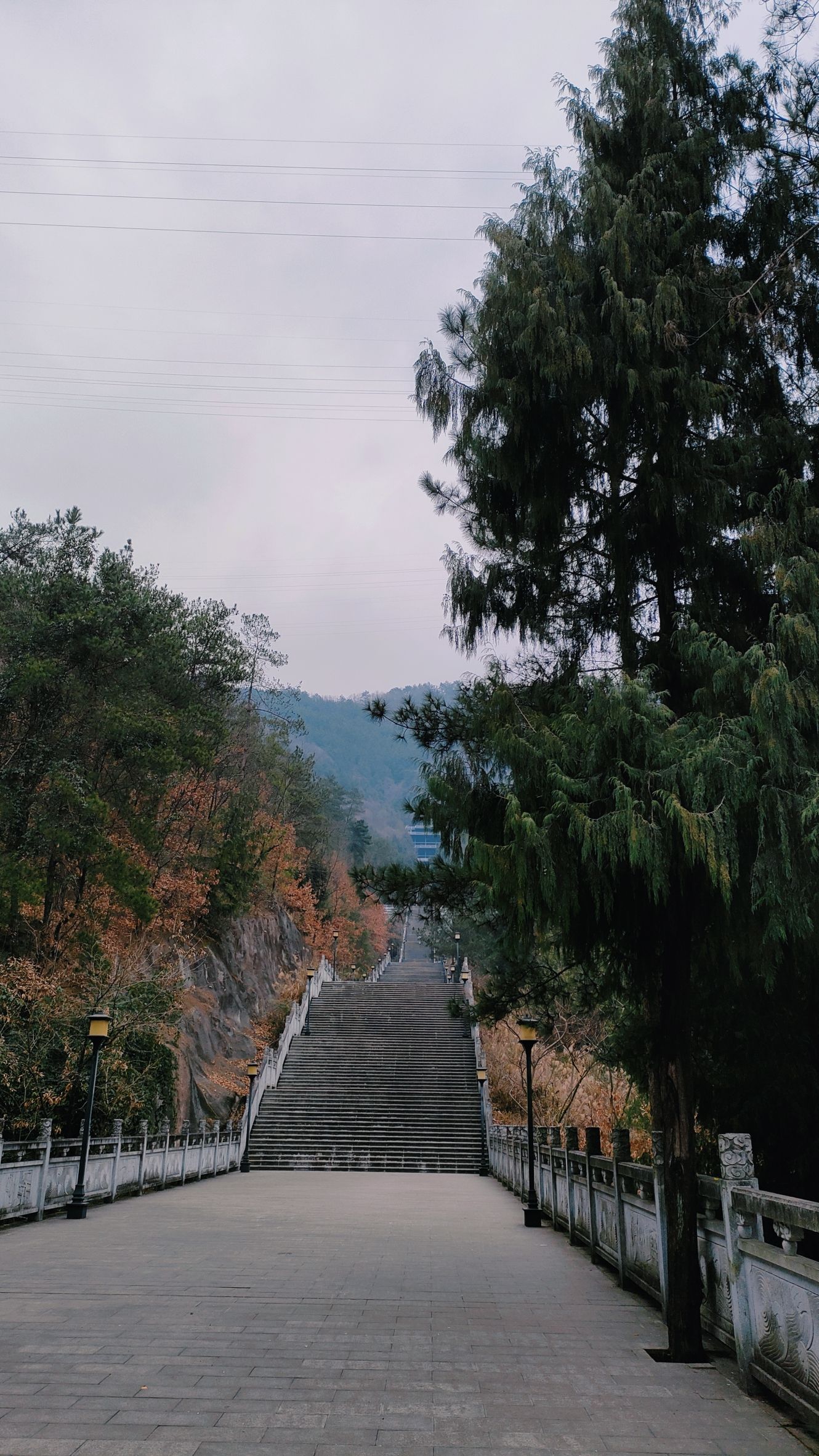 红塔公园旅行图片 3