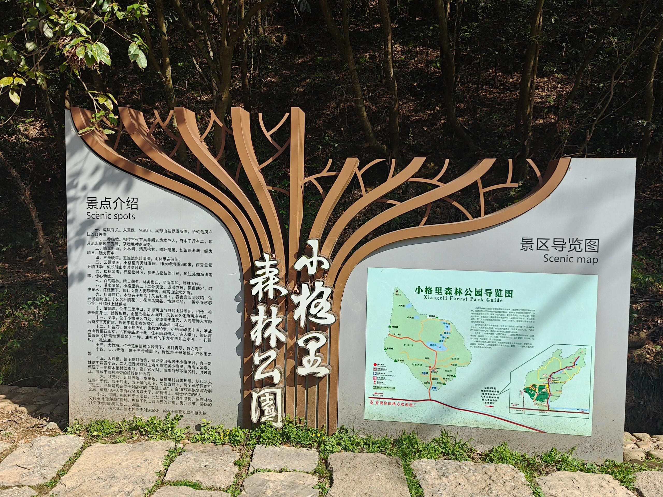 小格里自然风景区旅行图片 2