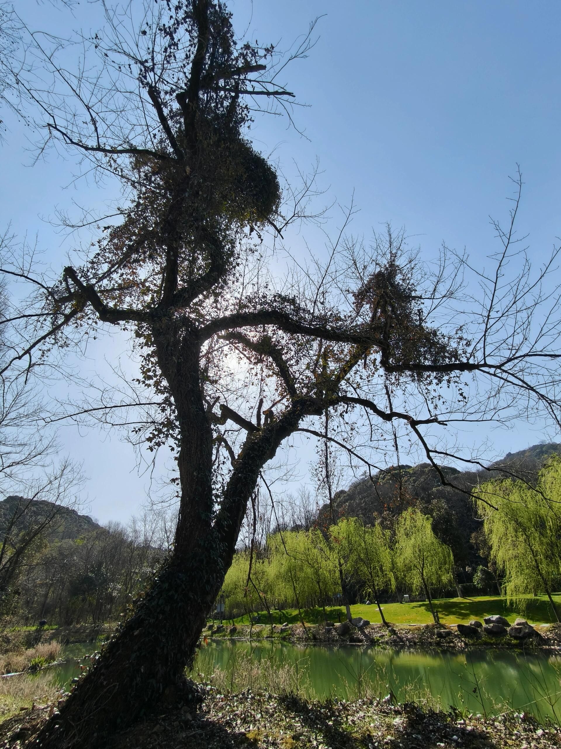 小格里自然风景区旅行图片 3