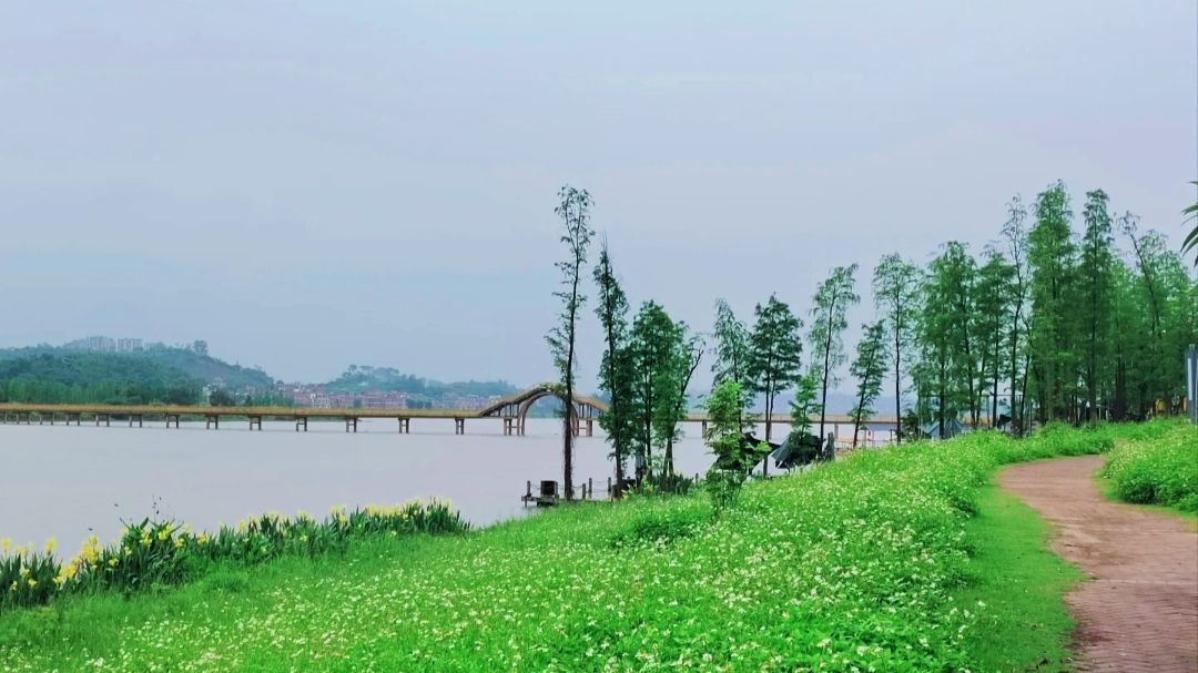 苍海公园旅行图片 2