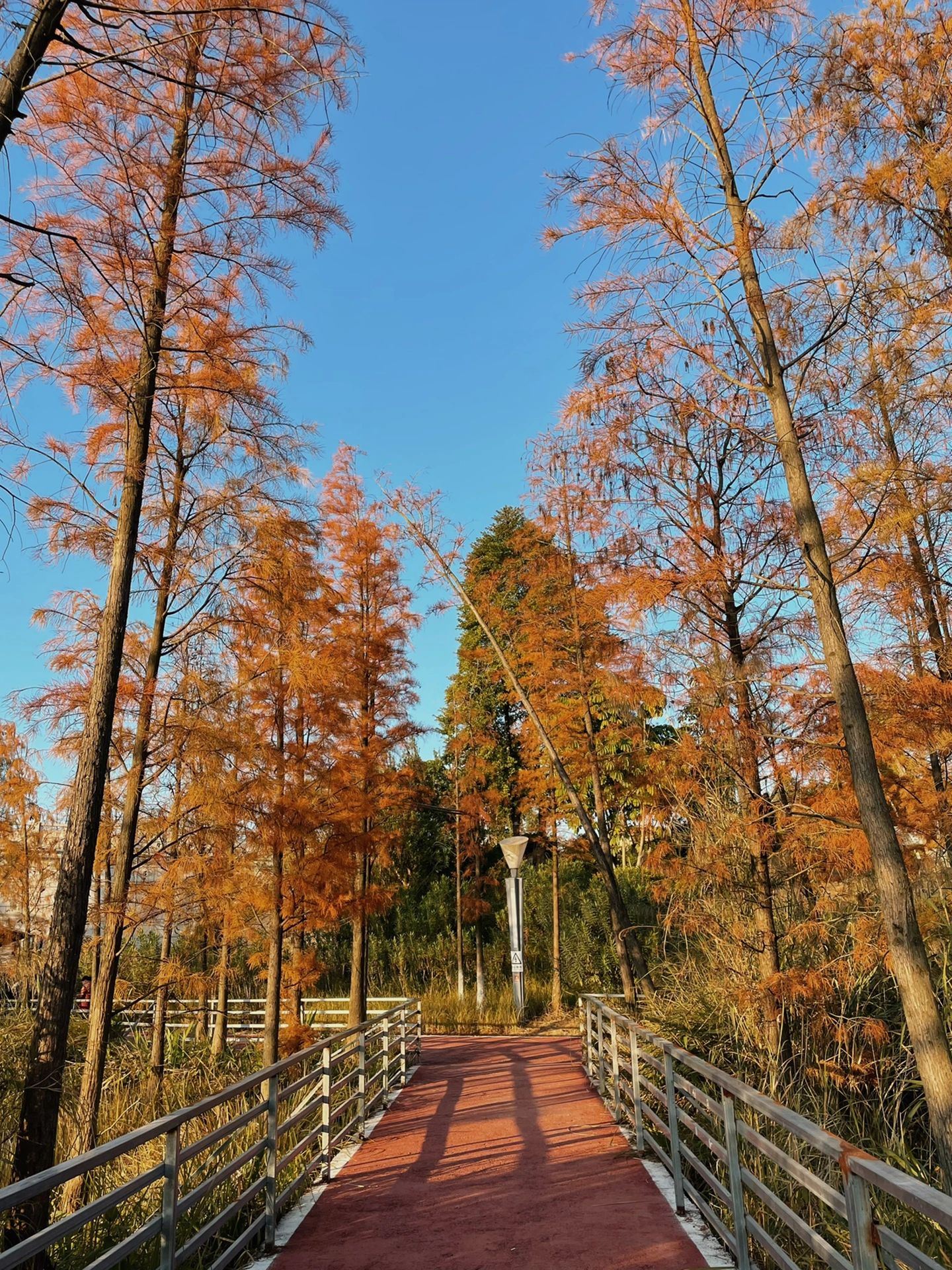 苍海公园旅行图片 3