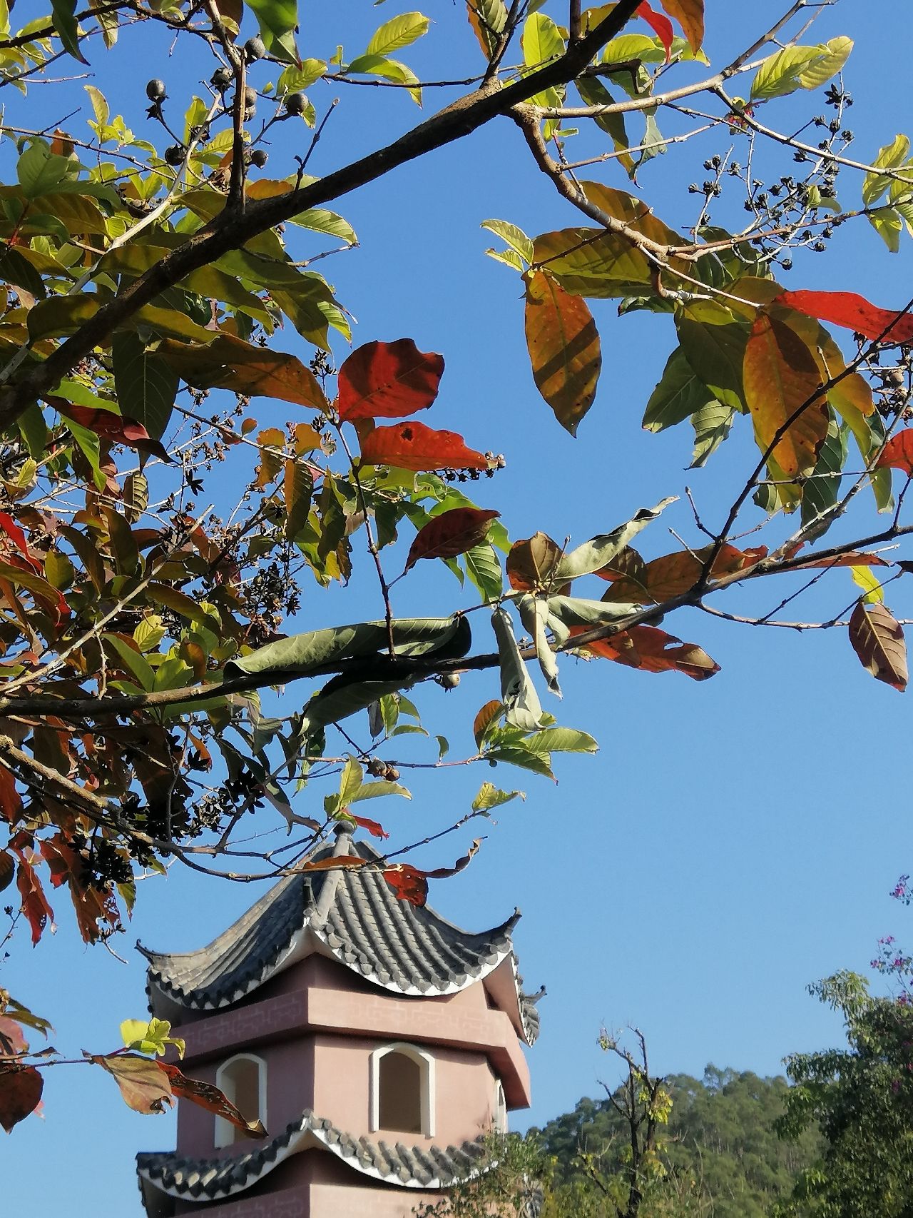 苍海公园旅行图片 3
