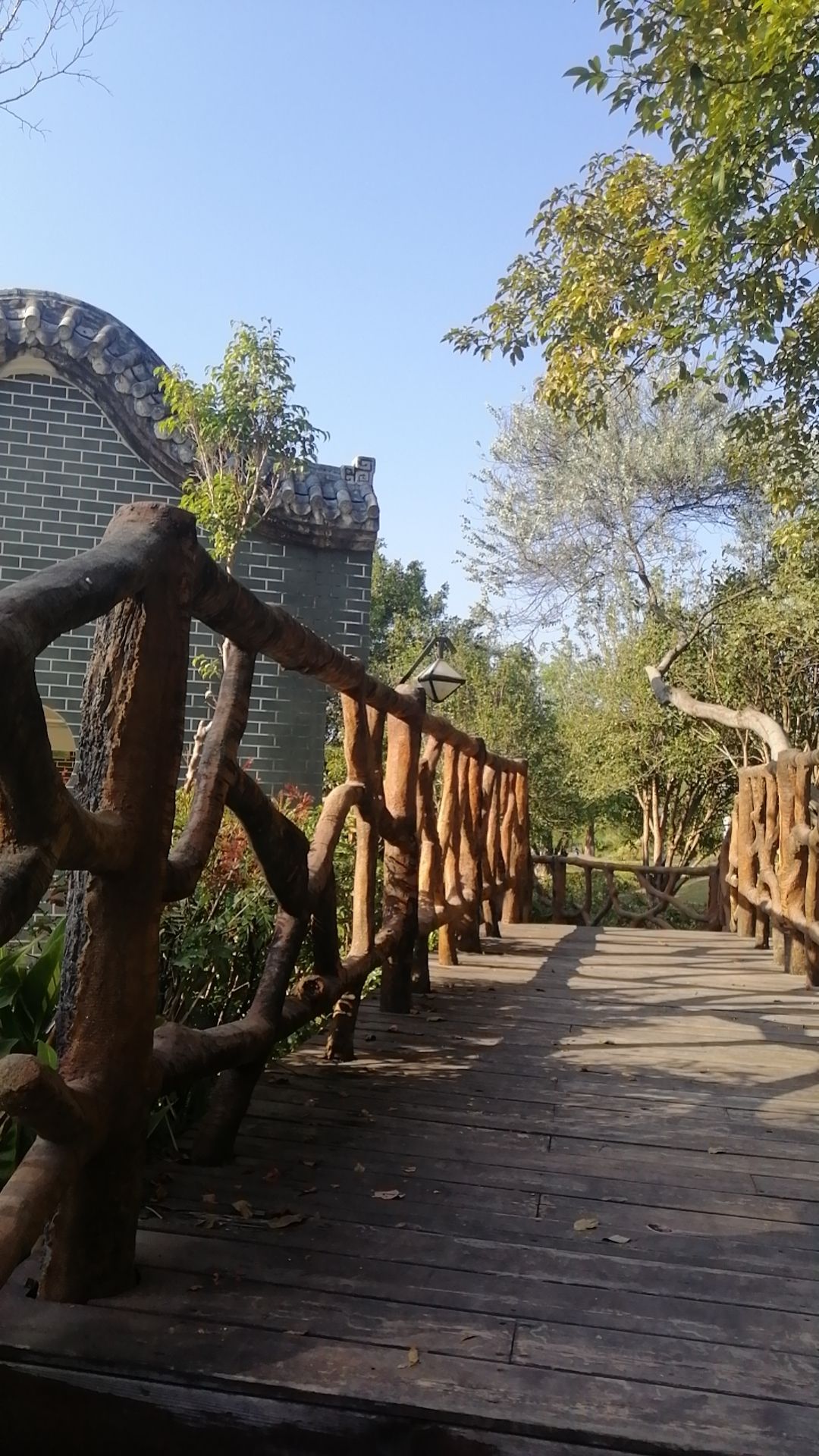 苍海公园旅行图片 1
